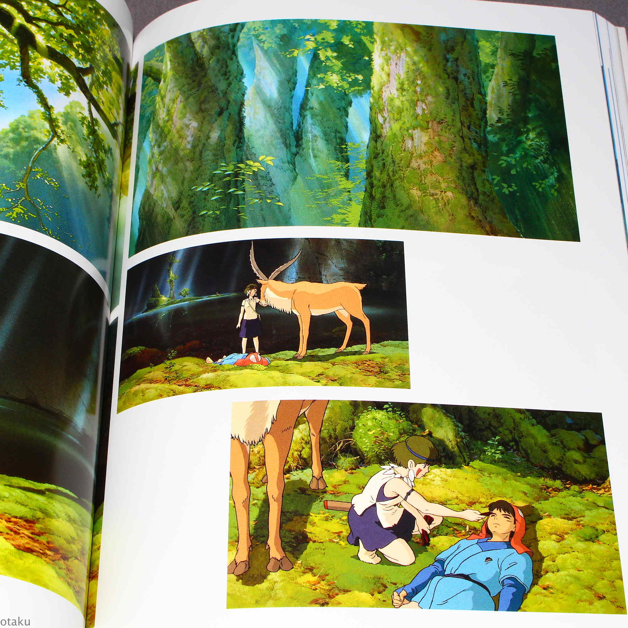 The Art of The Princess Mononoke - Image 6