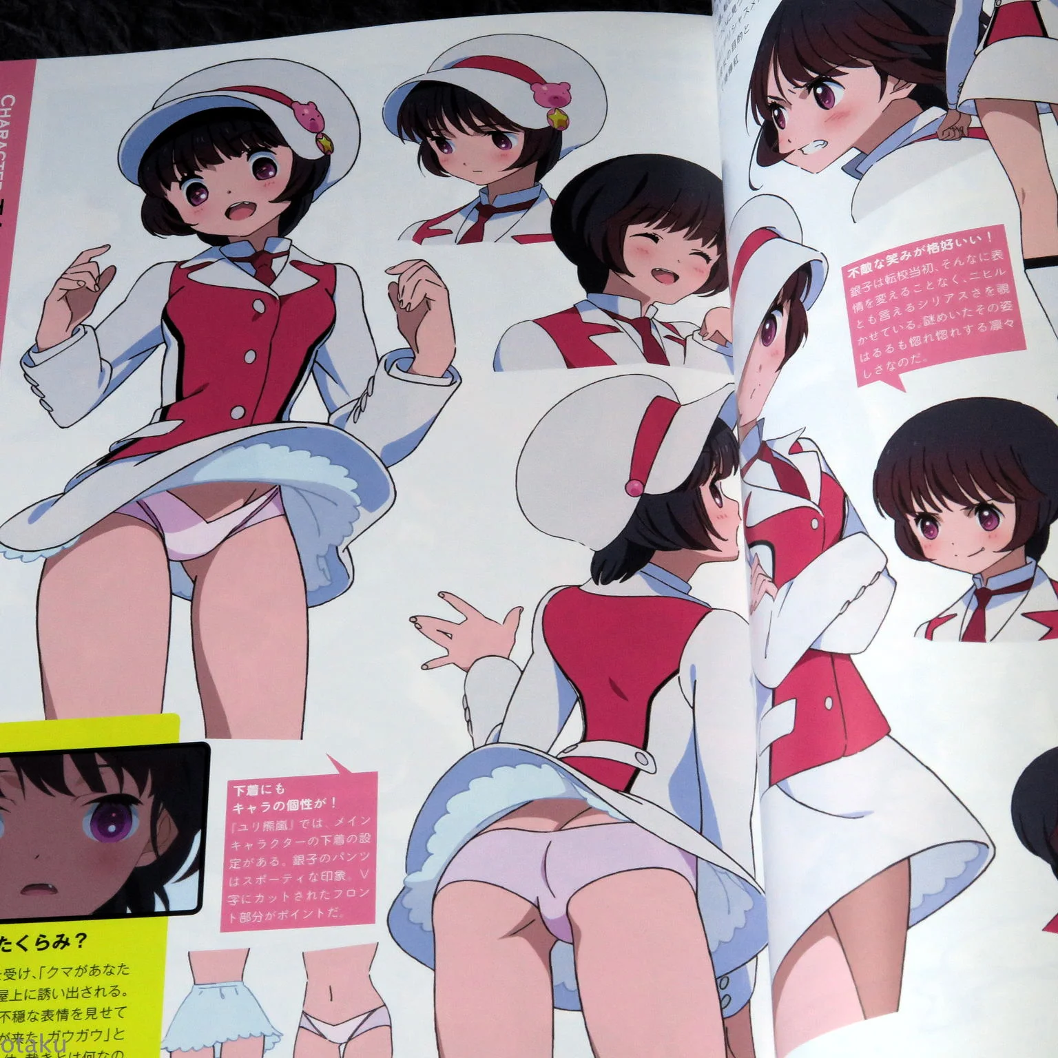 Yurikuma Arashi Official Starting Guide - Image 2