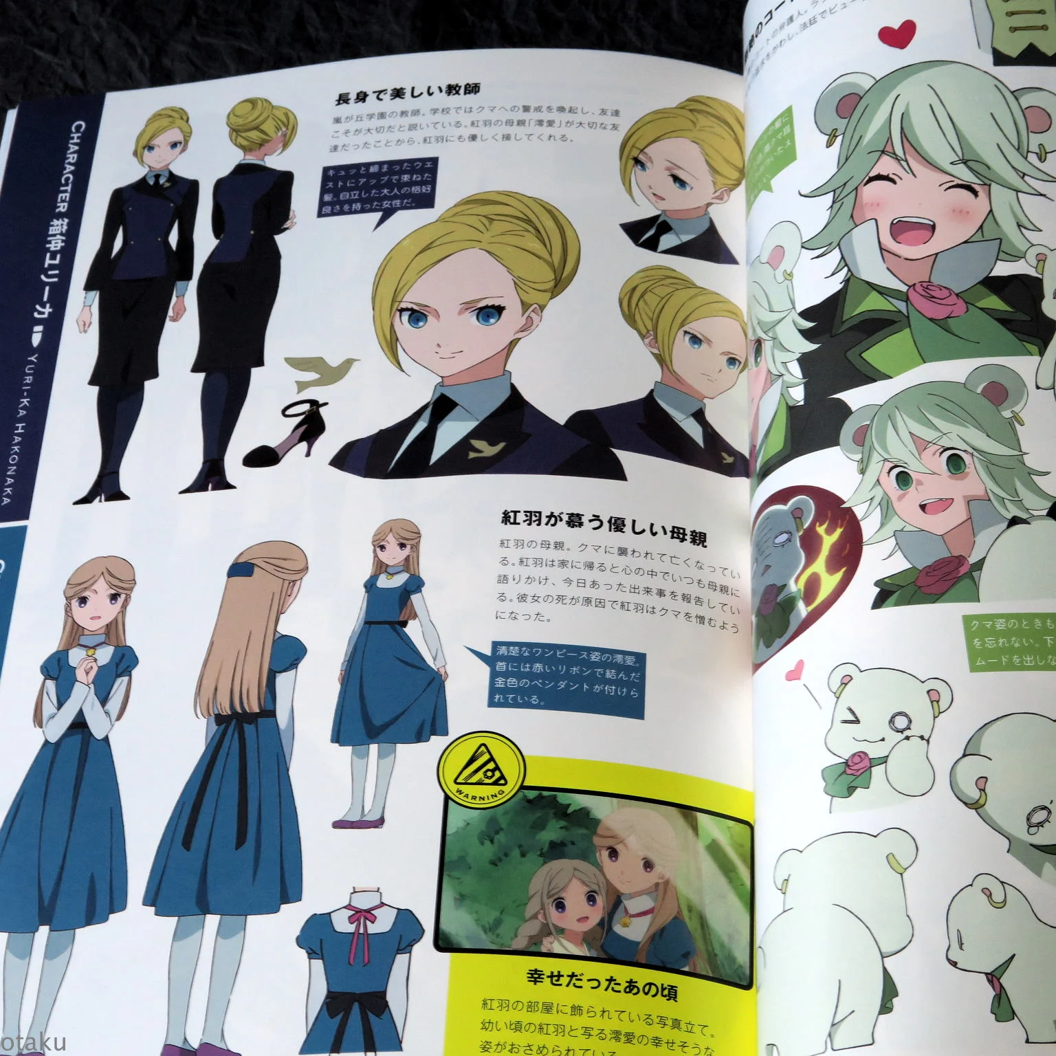 Yurikuma Arashi Official Starting Guide - Image 6