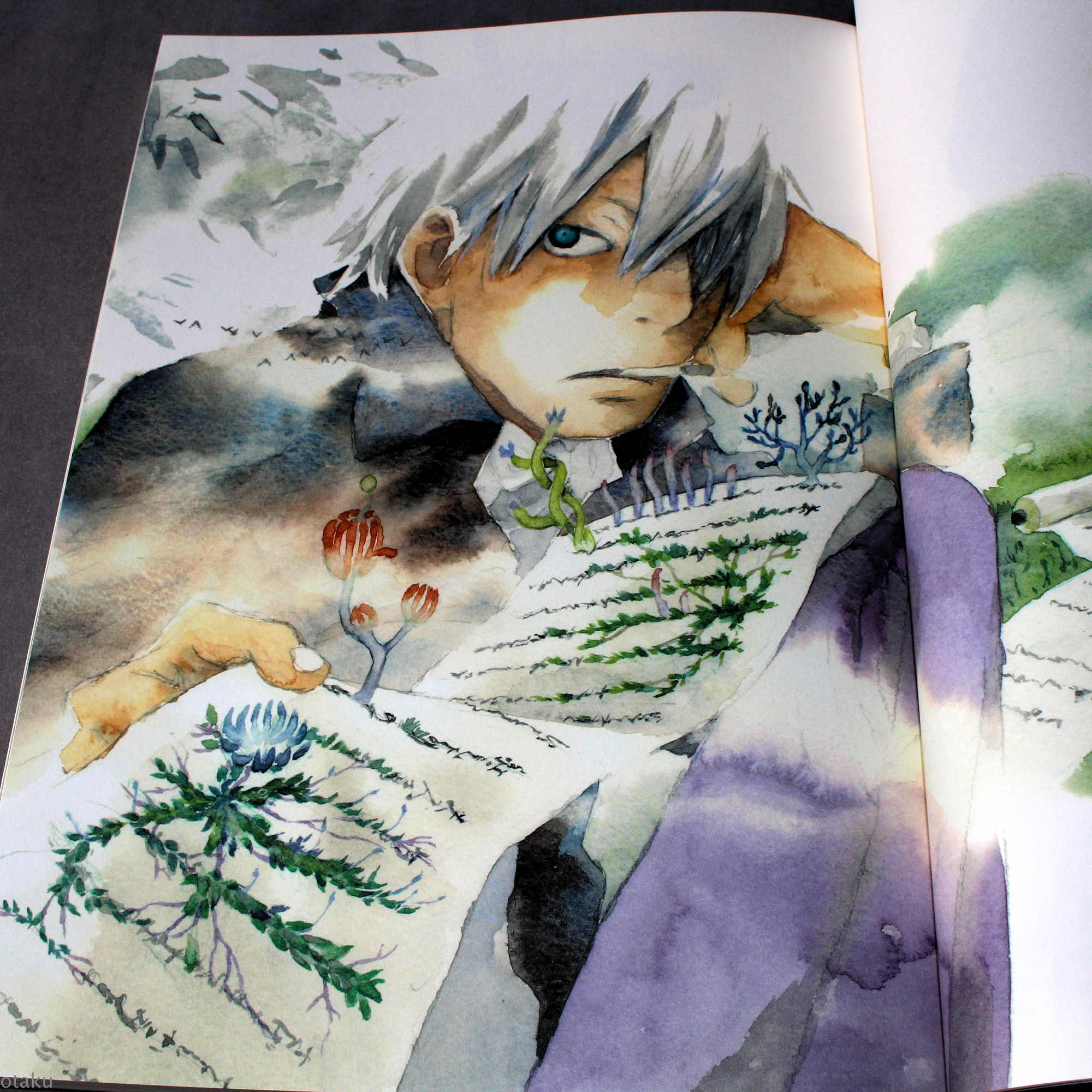 Yuki Urushibara - Mushishi Artworks - Image 3