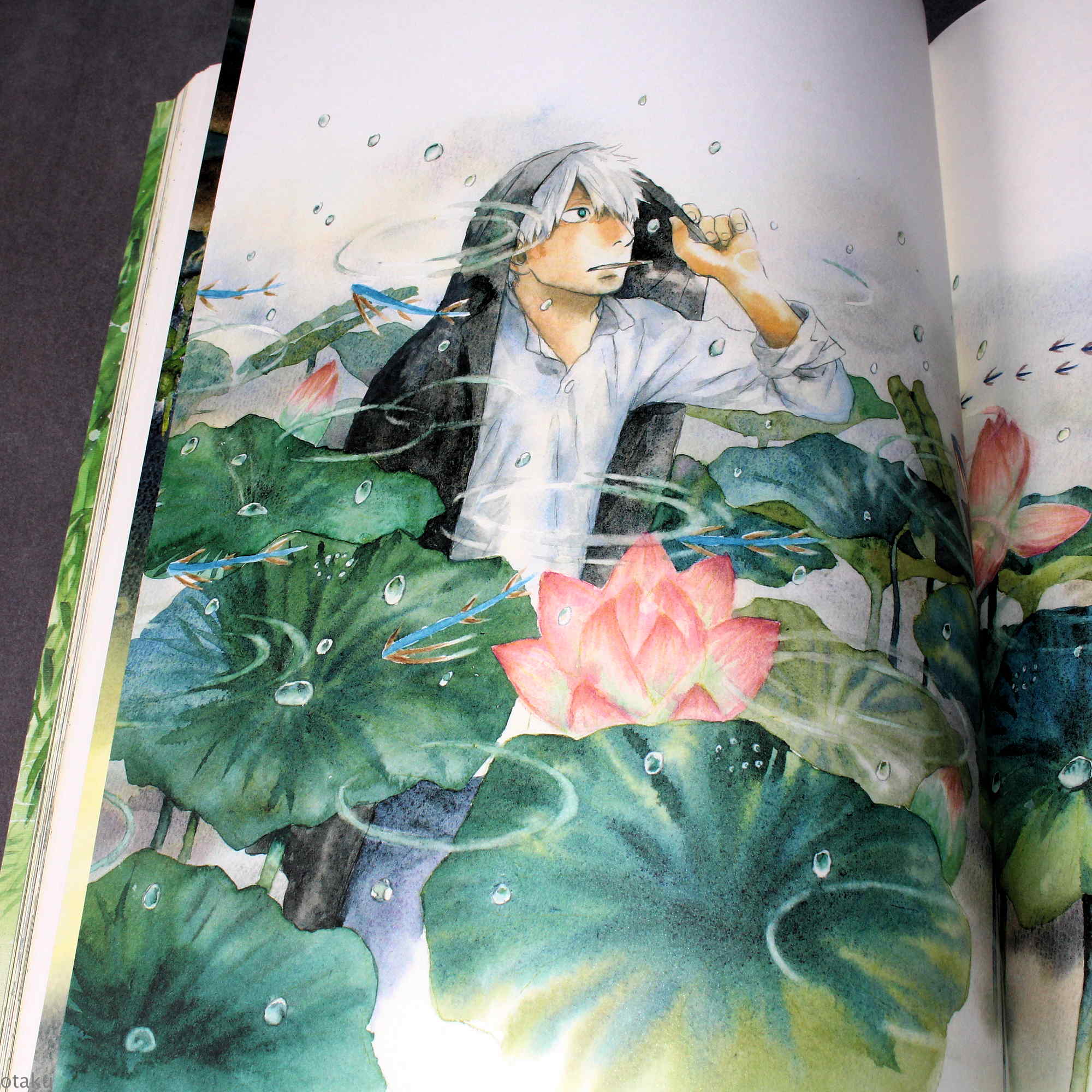 Yuki Urushibara - Mushishi Artworks - Image 7