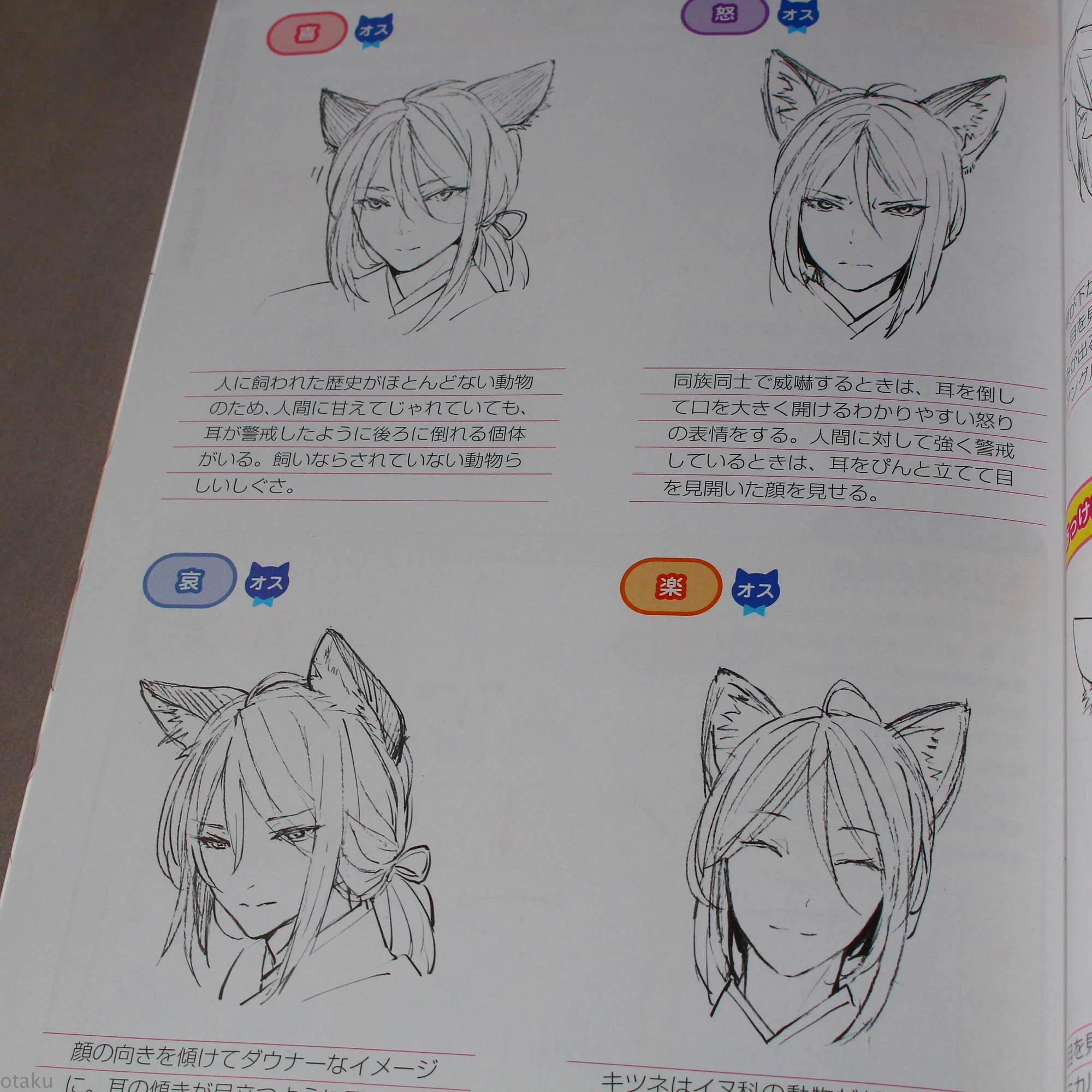 How to Draw Kemomimi - Image 10