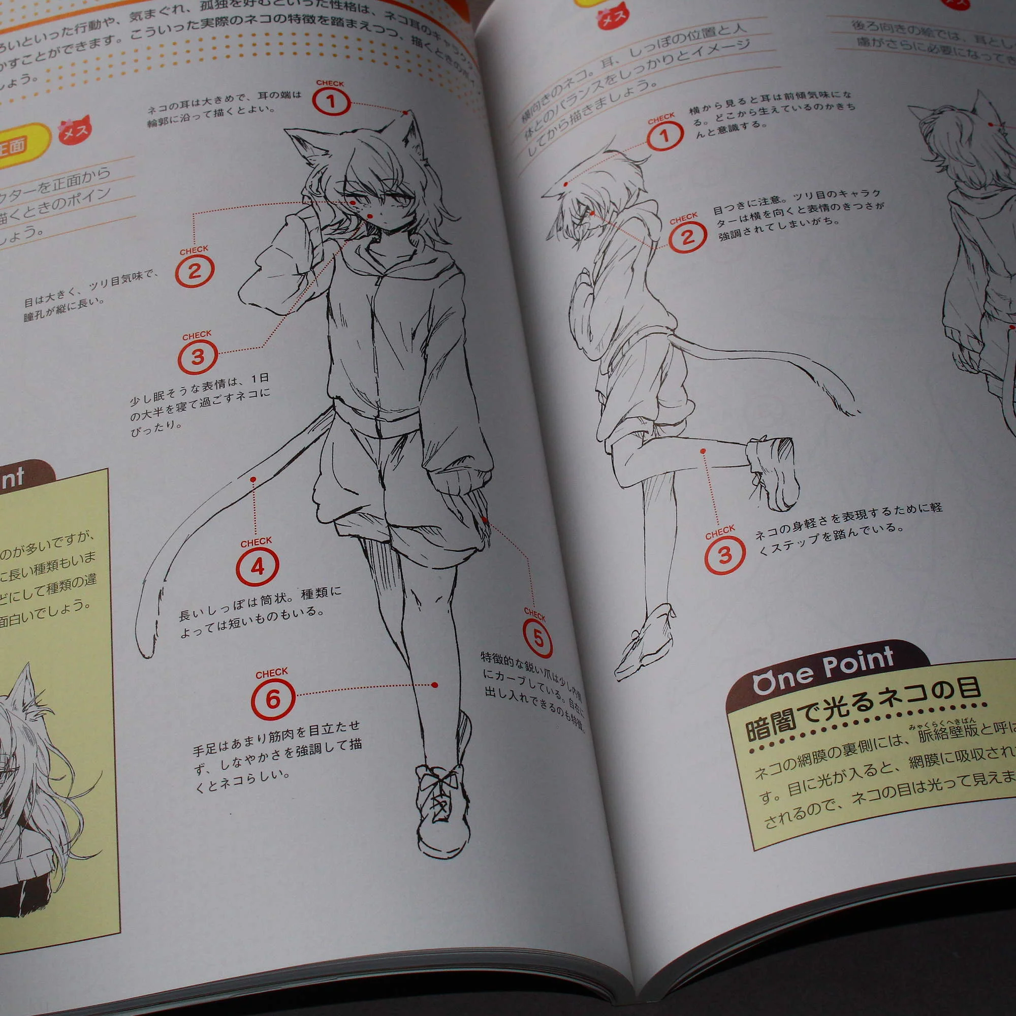 How to Draw Kemomimi - Image 8