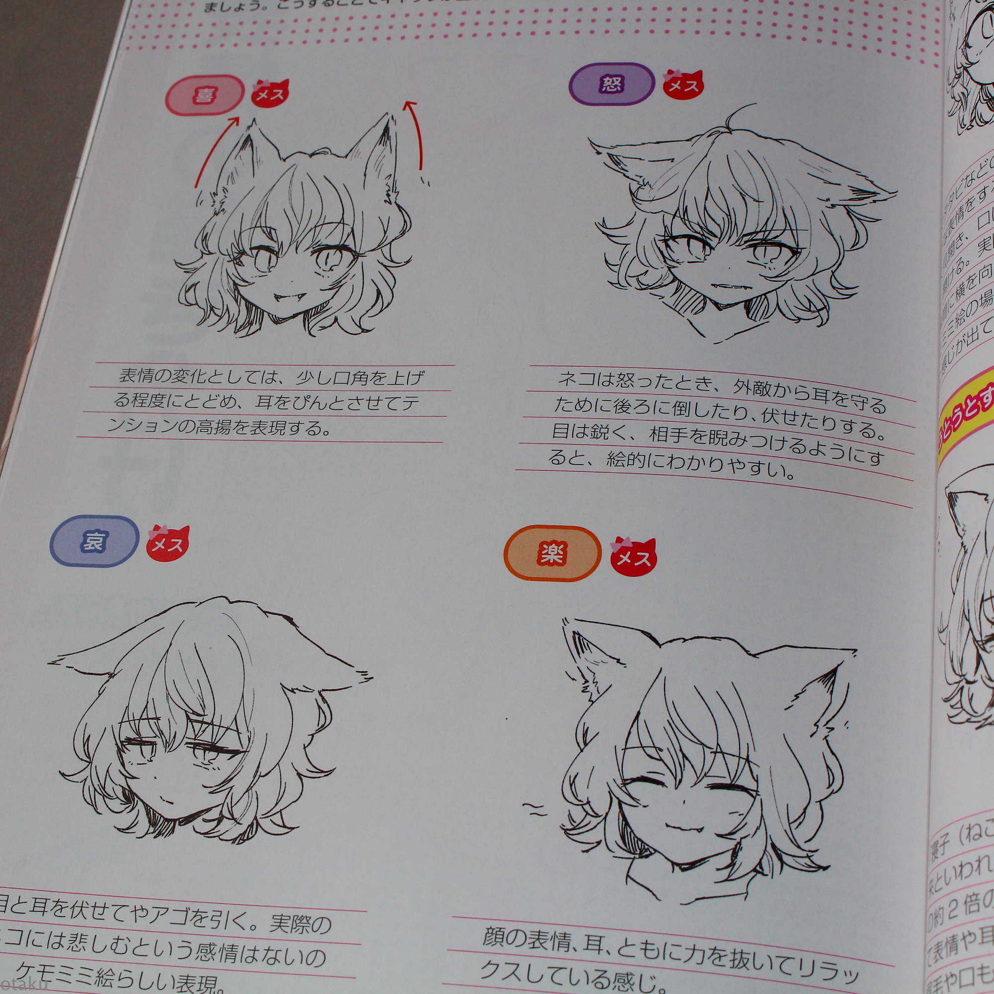 How to Draw Kemomimi - Image 9