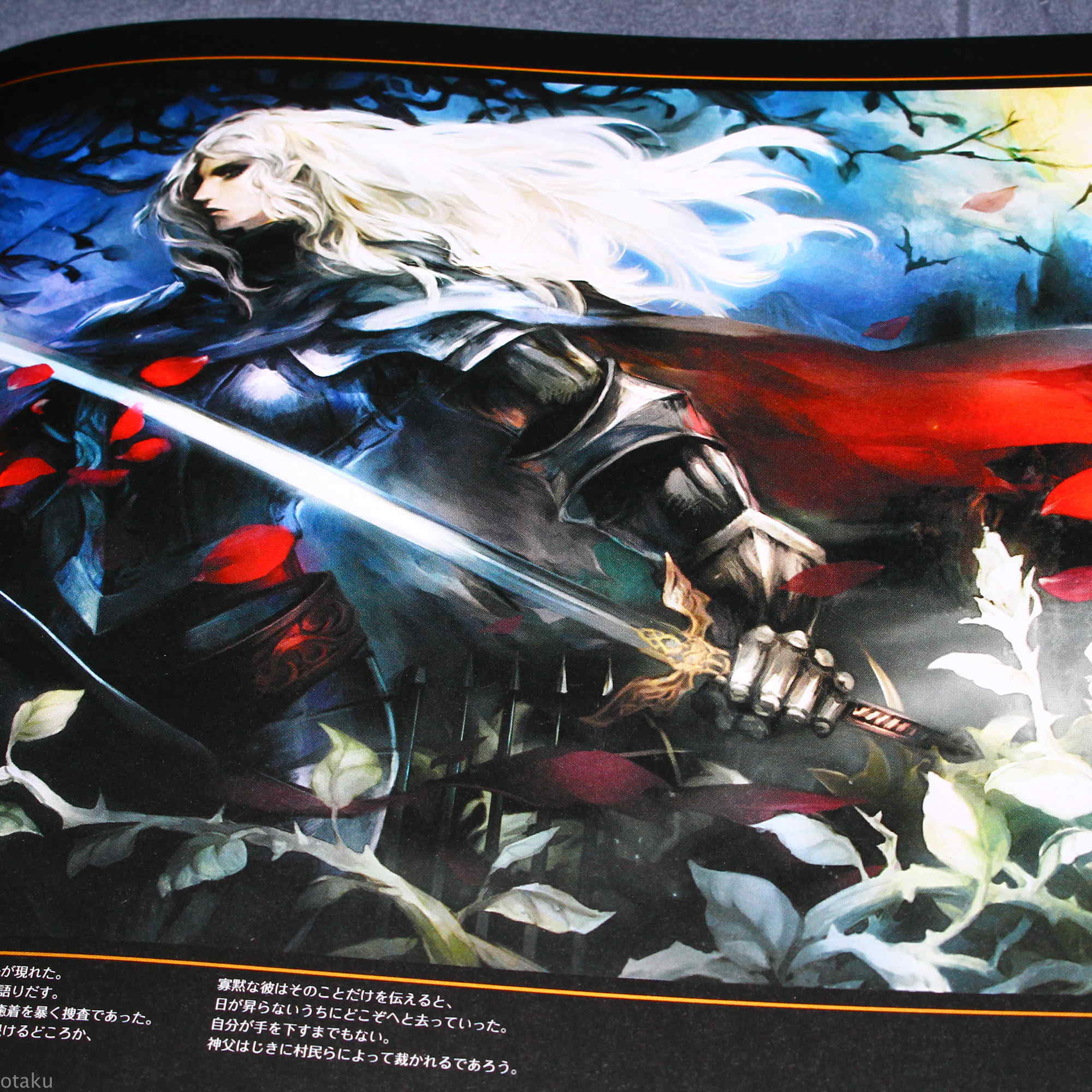 Dragon's Crown Art Book - Image 4