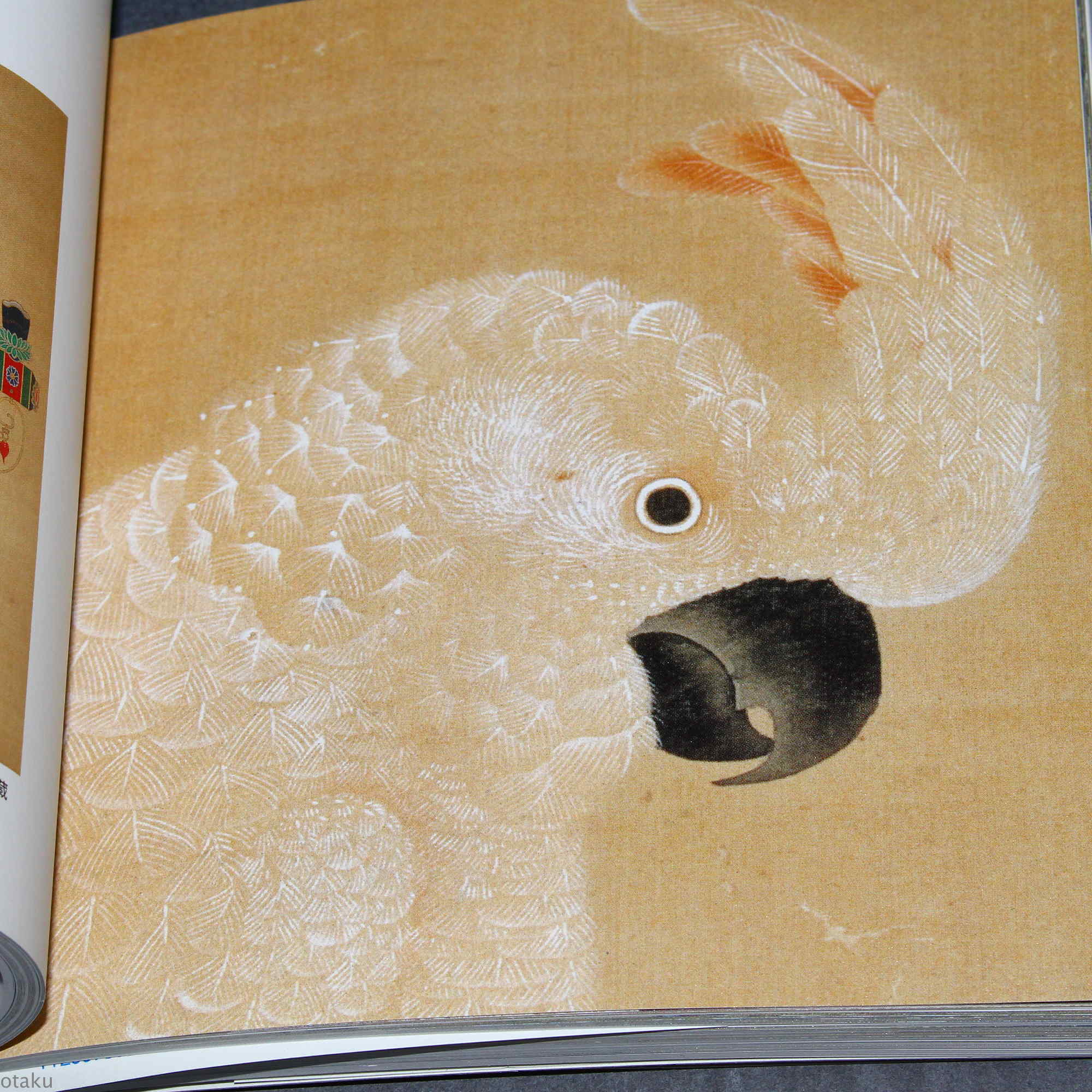 Ito Jakuchu Five Colors - Japan Art Book - Image 2