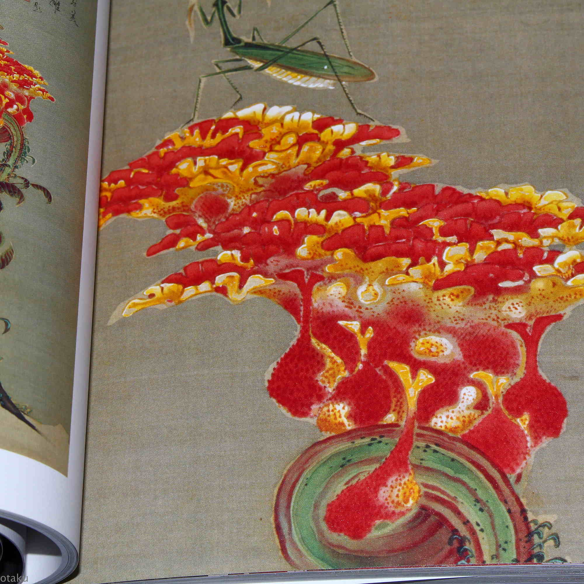 Ito Jakuchu Five Colors - Japan Art Book - Image 5