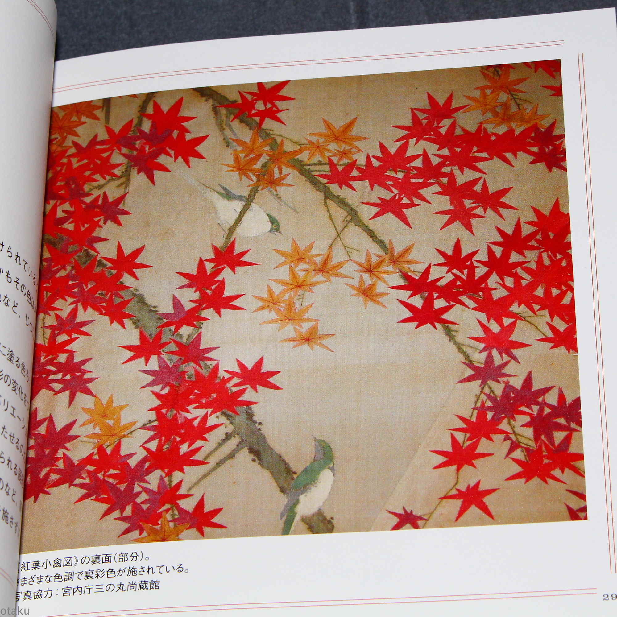 Ito Jakuchu Five Colors - Japan Art Book - Image 7