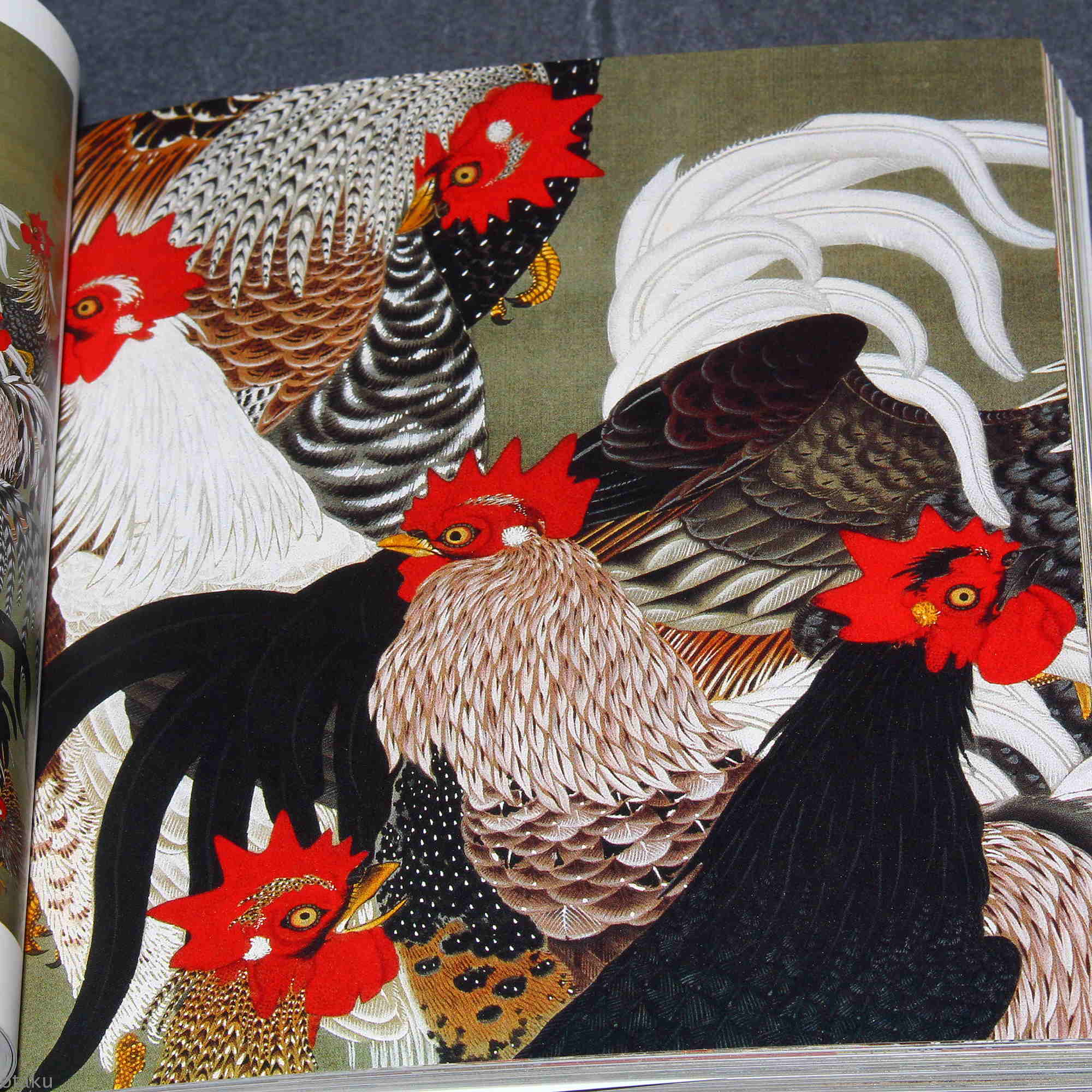 Ito Jakuchu Five Colors - Japan Art Book - Image 8