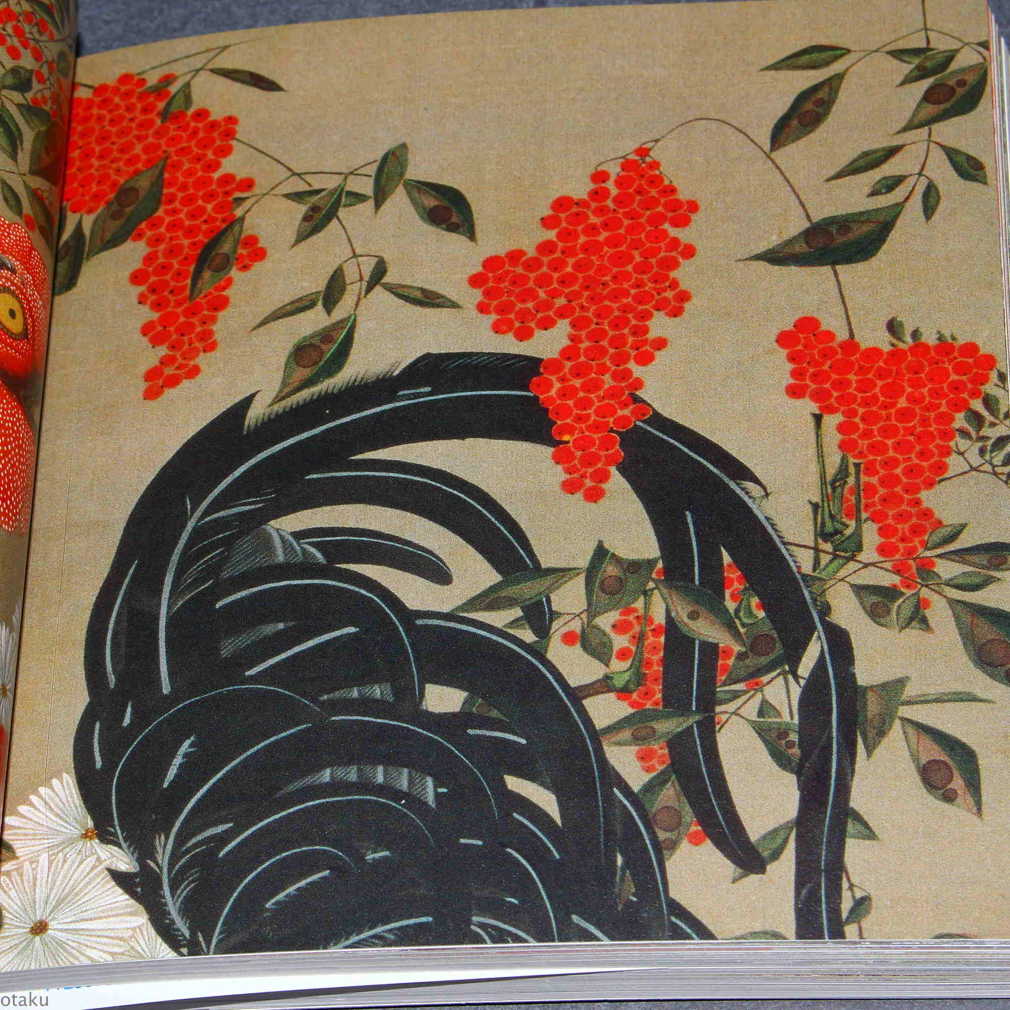 Ito Jakuchu Five Colors - Japan Art Book - Image 9