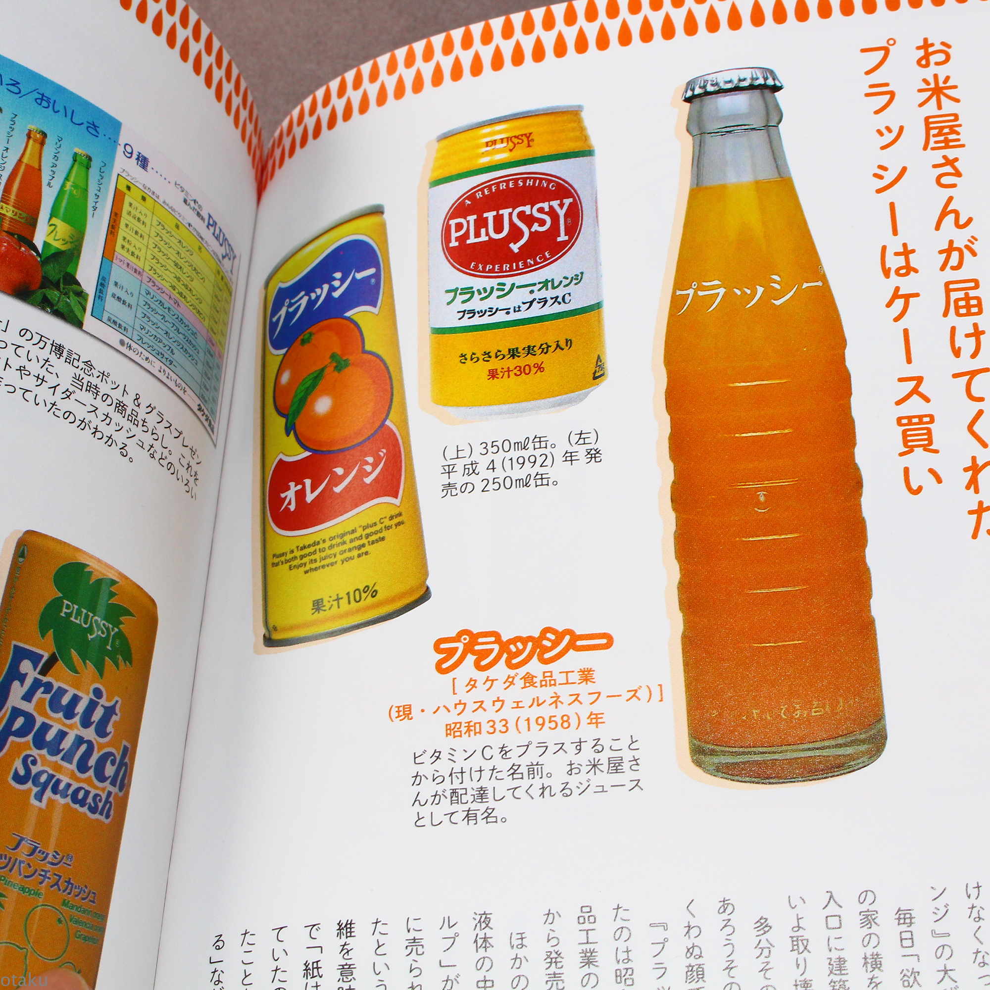 Japanese Natsukashi Juice Encyclopedia - Image 3
