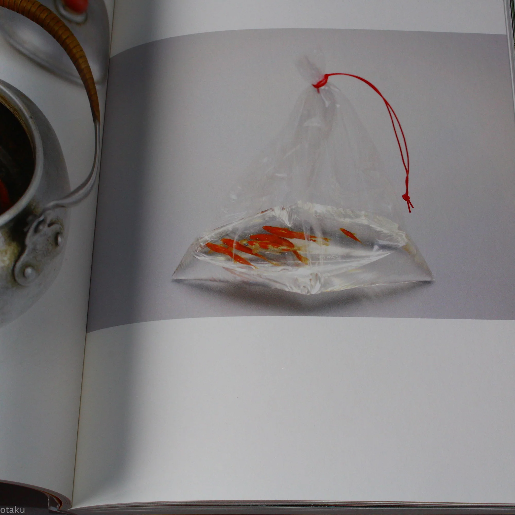 Riusuke Fukahori - Kingyo no Uta - Goldfish Art Book - Image 7