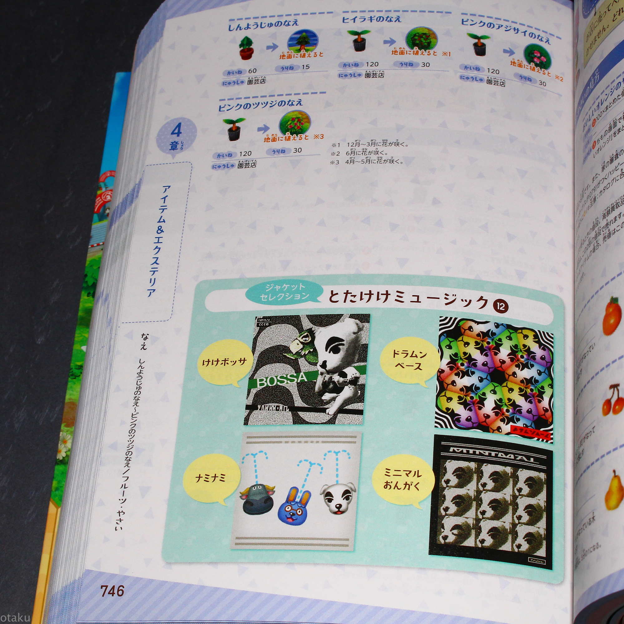 Animal Crossing Doubutsu no Mori amiibo+ The Complete Guide - Image 7