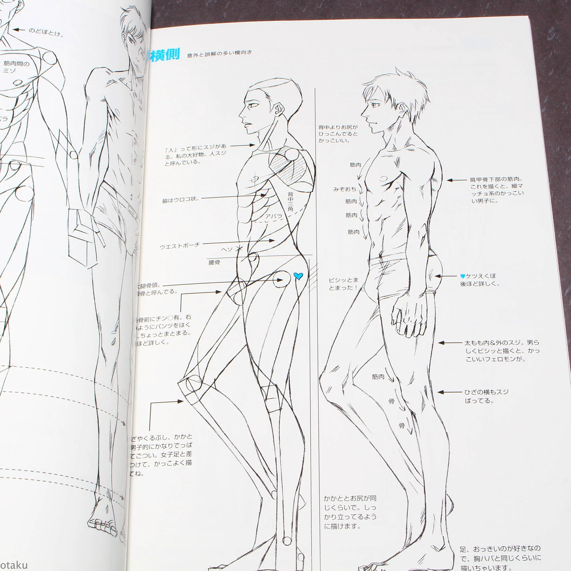 How to Draw - Drawing Men’s Hips - Image 6