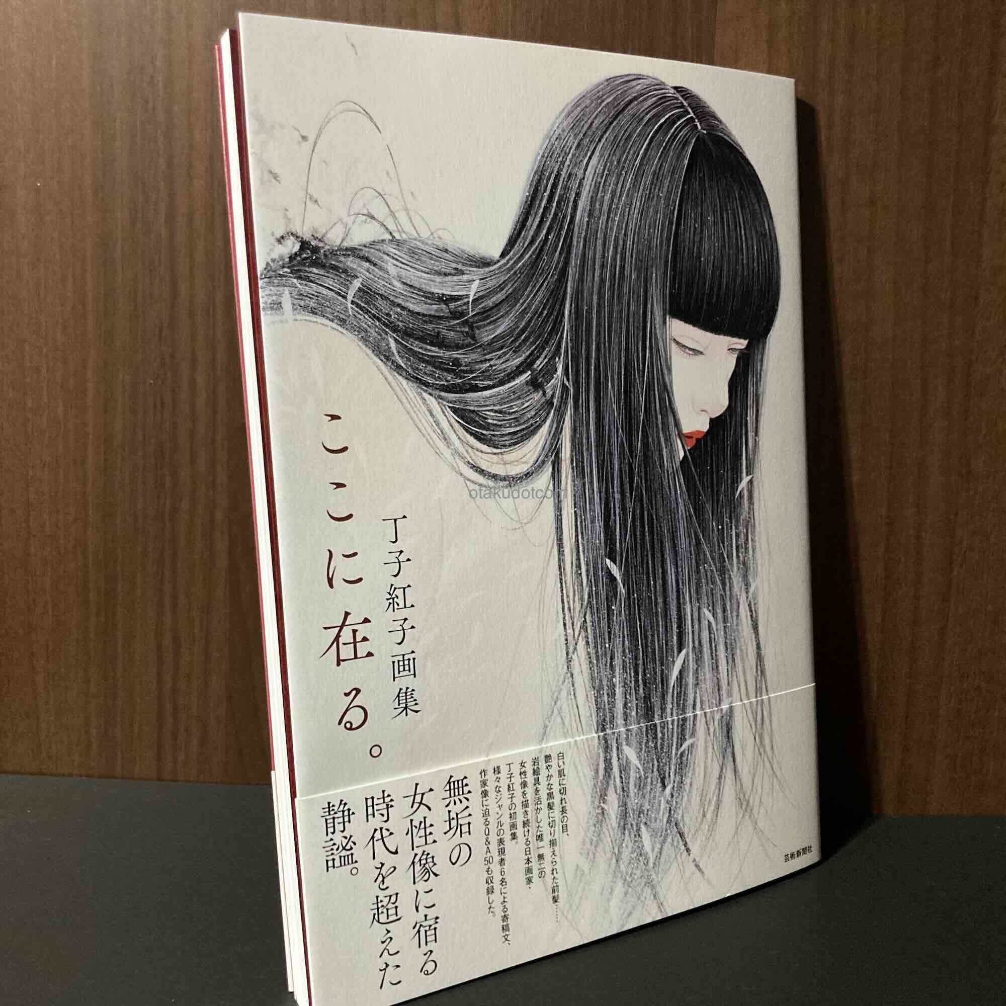 Beniko Choji Artworks Koko ni Aru