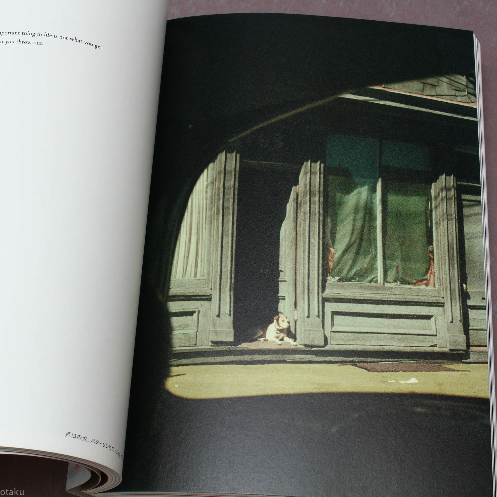 All about Saul Leiter - Image 7