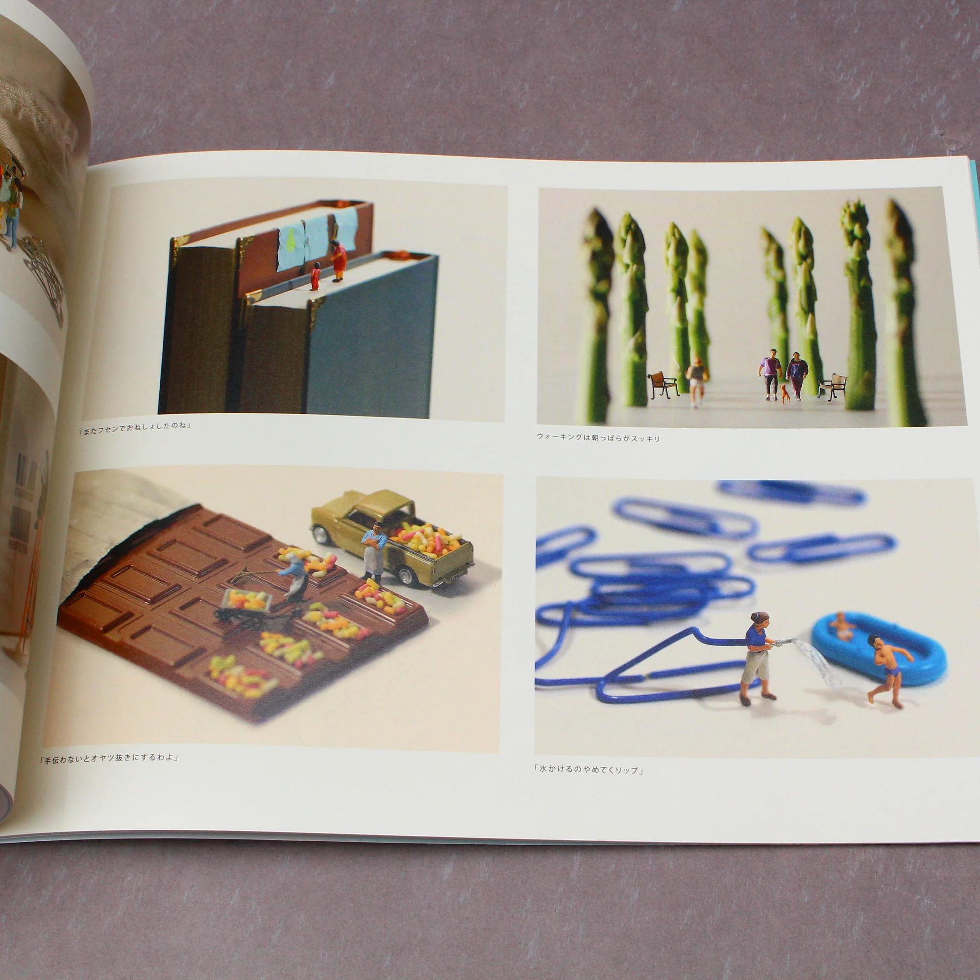 Tatsuya Tanaka - MINIATURE LIFE 2 - Image 2