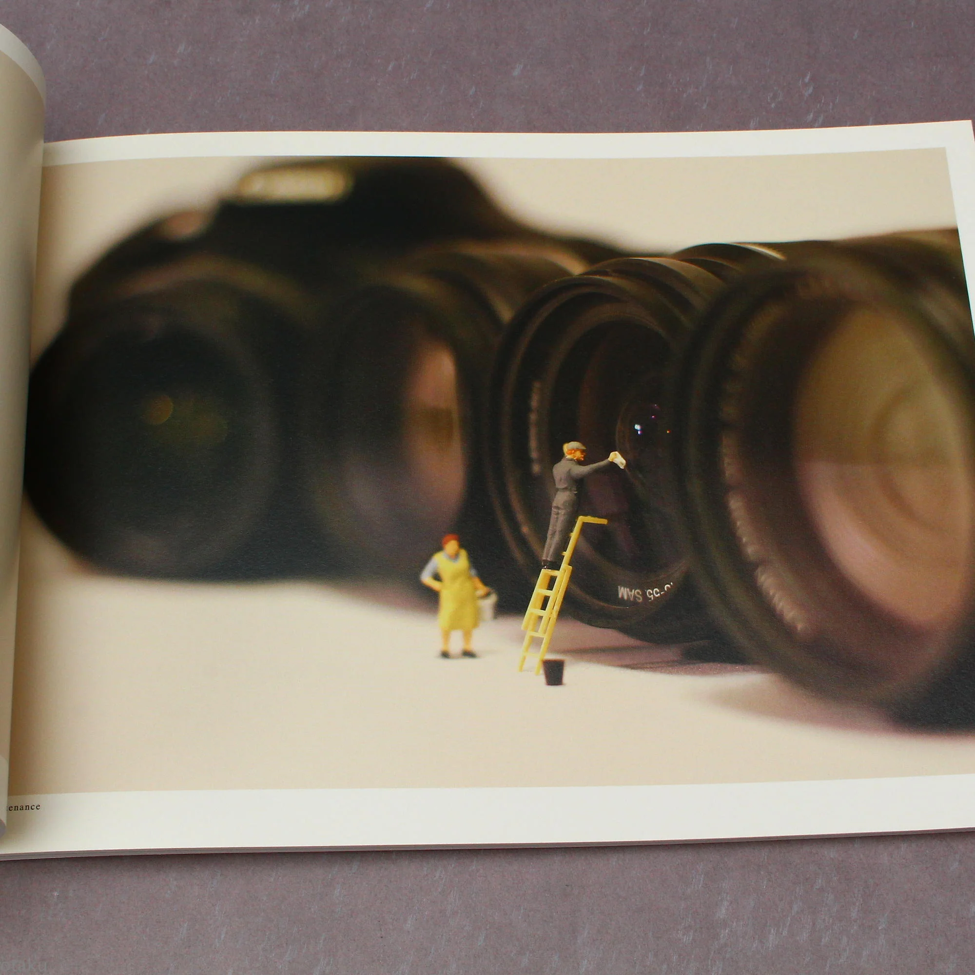 Tatsuya Tanaka - MINIATURE LIFE 1 - Image 2