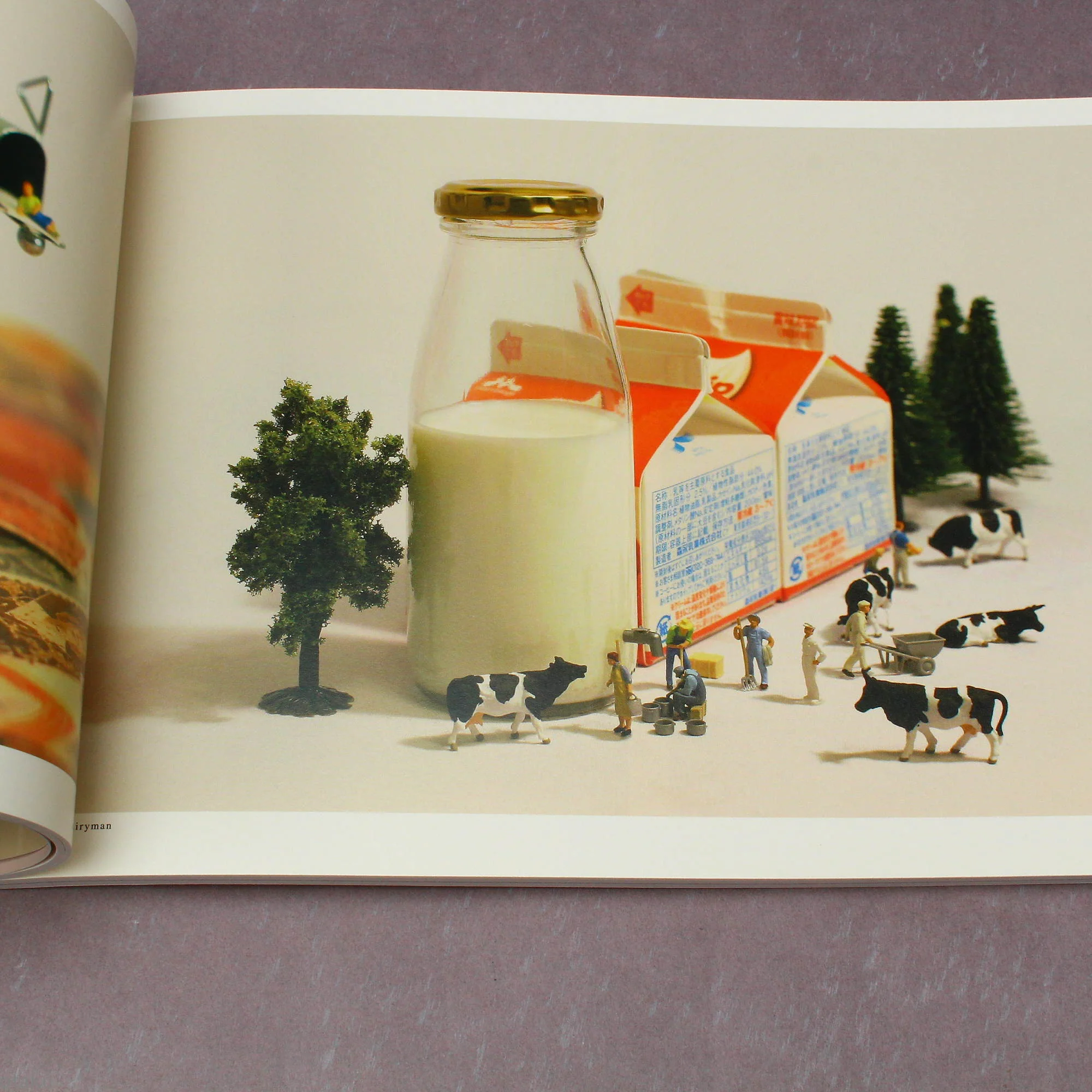 Tatsuya Tanaka - MINIATURE LIFE 1 - Image 3