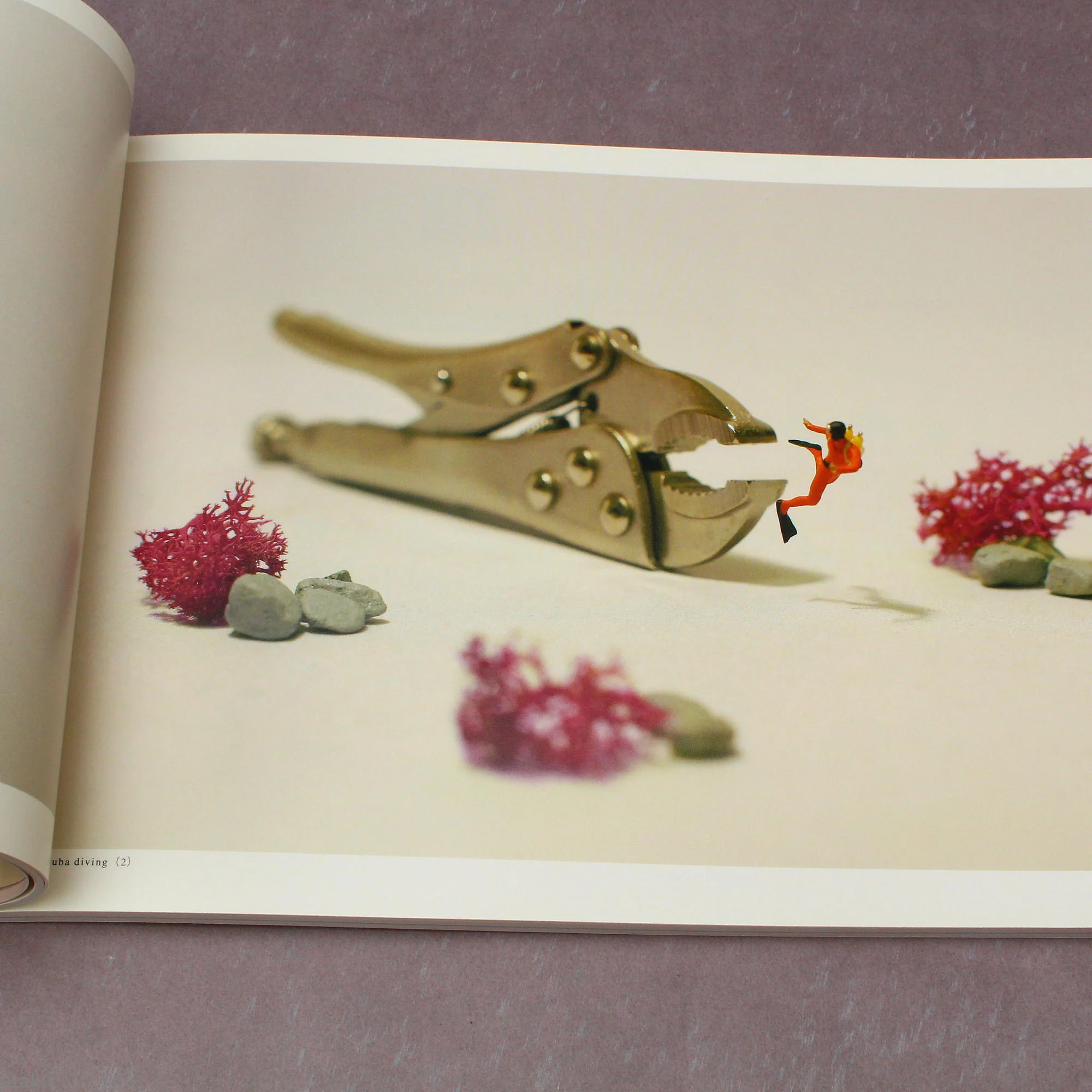Tatsuya Tanaka - MINIATURE LIFE 1 - Image 4