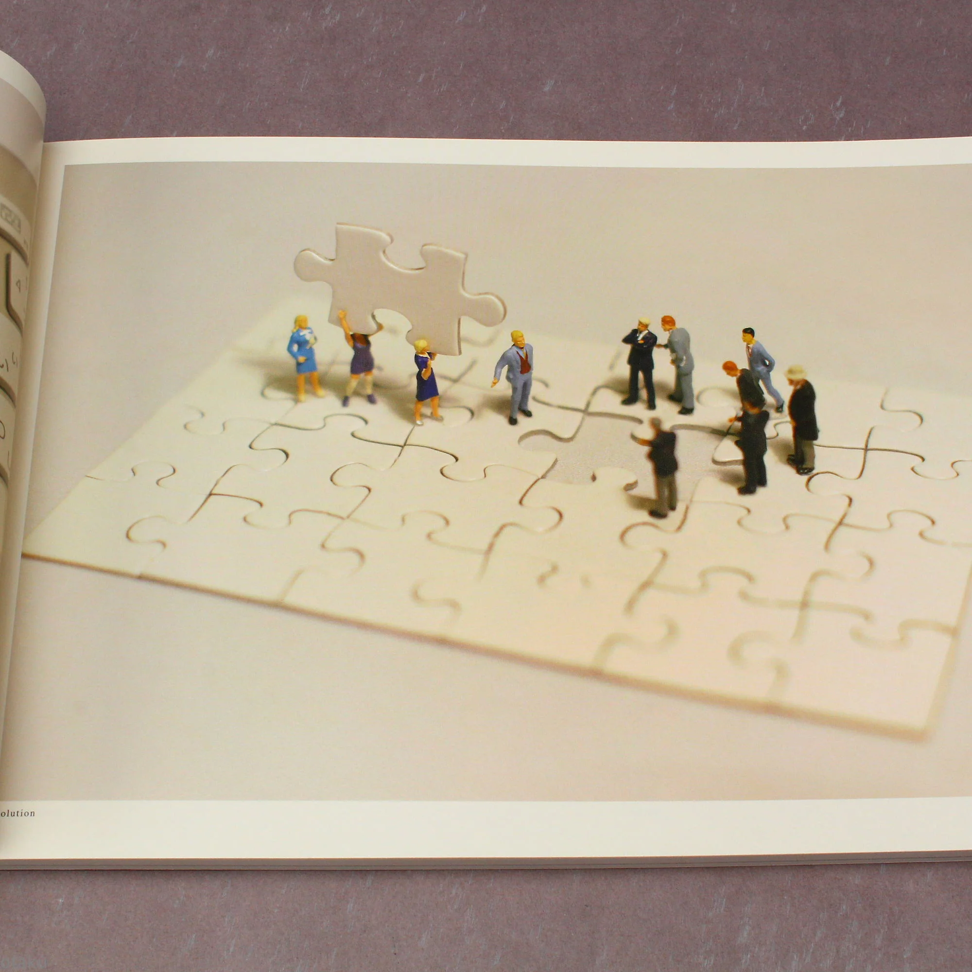 Tatsuya Tanaka - MINIATURE LIFE 1 - Image 7