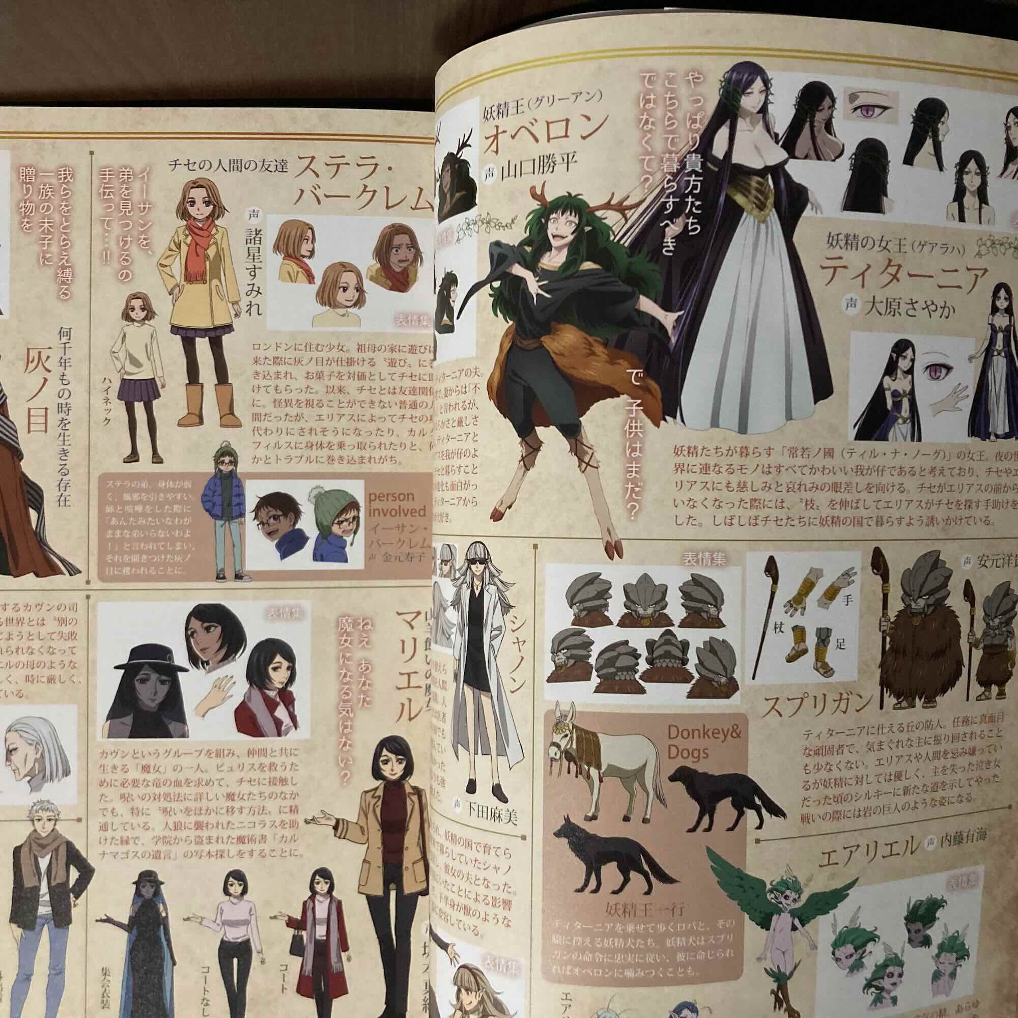 The Ancient Magus Bride Official Complete Book - Image 3