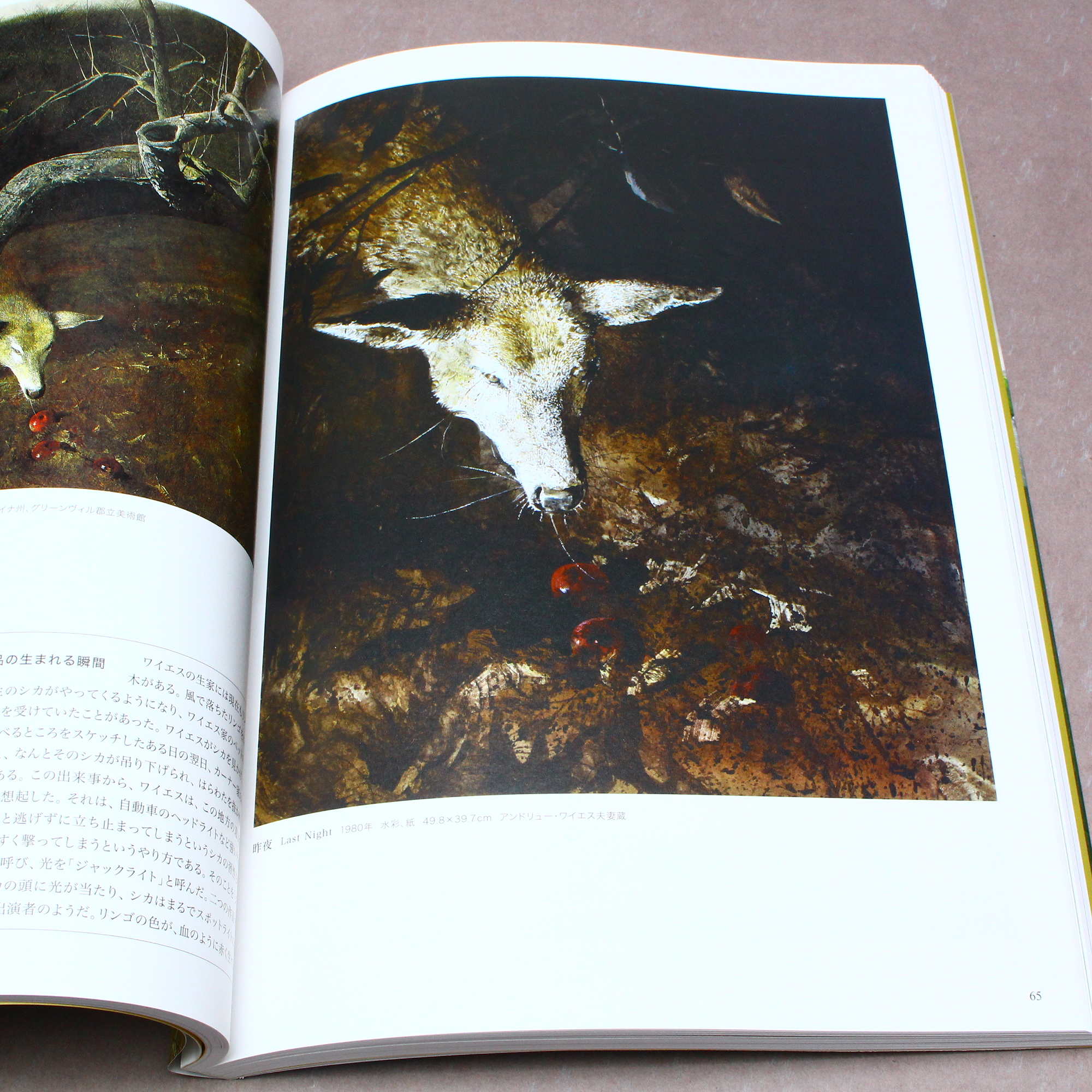 Andrew Wyeth - Art Book - Japanese edition - Image 2