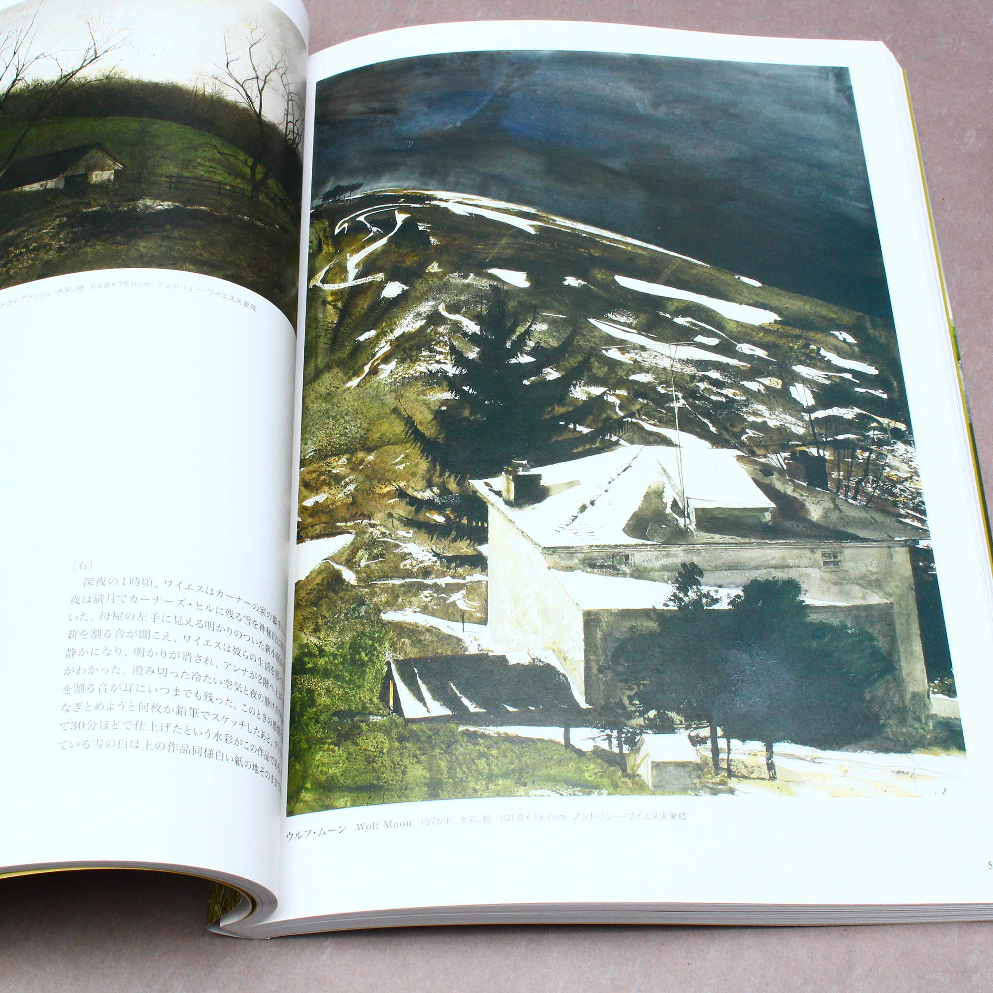 Andrew Wyeth - Art Book - Japanese edition - Image 3