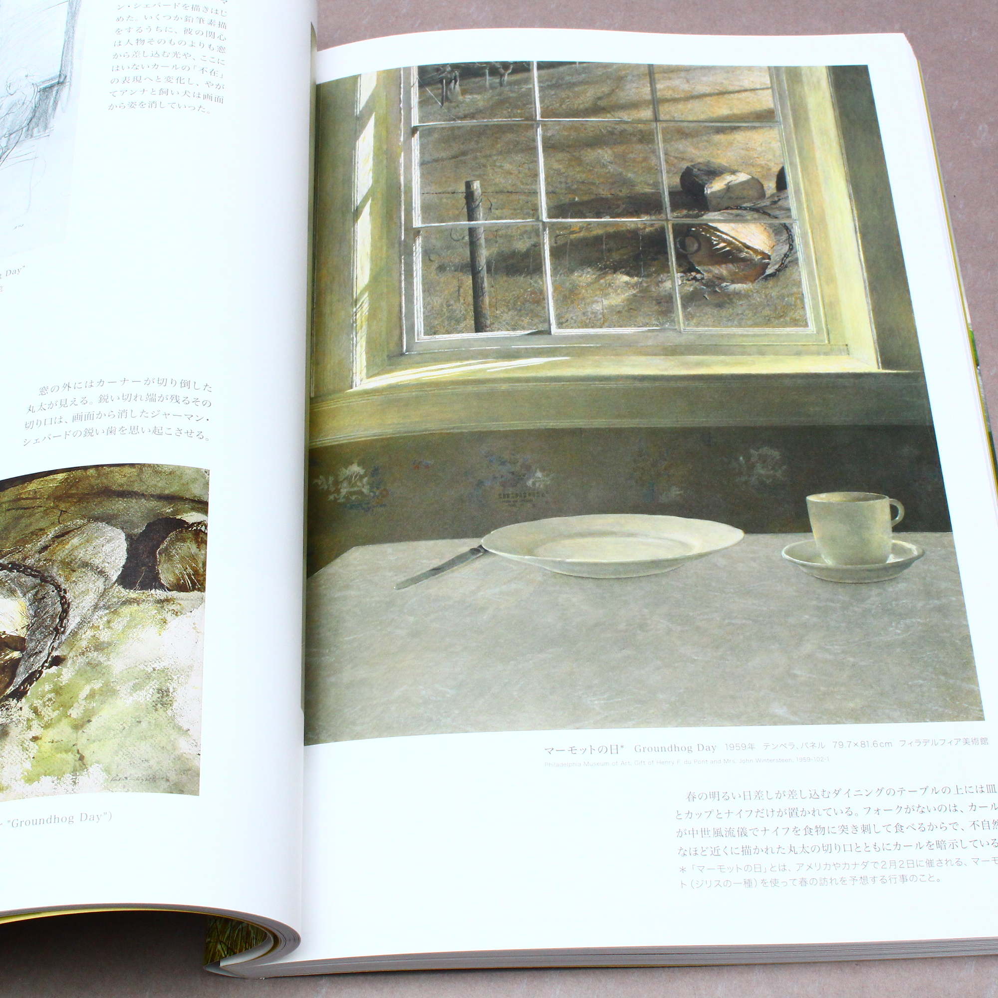 Andrew Wyeth - Art Book - Japanese edition - Image 4