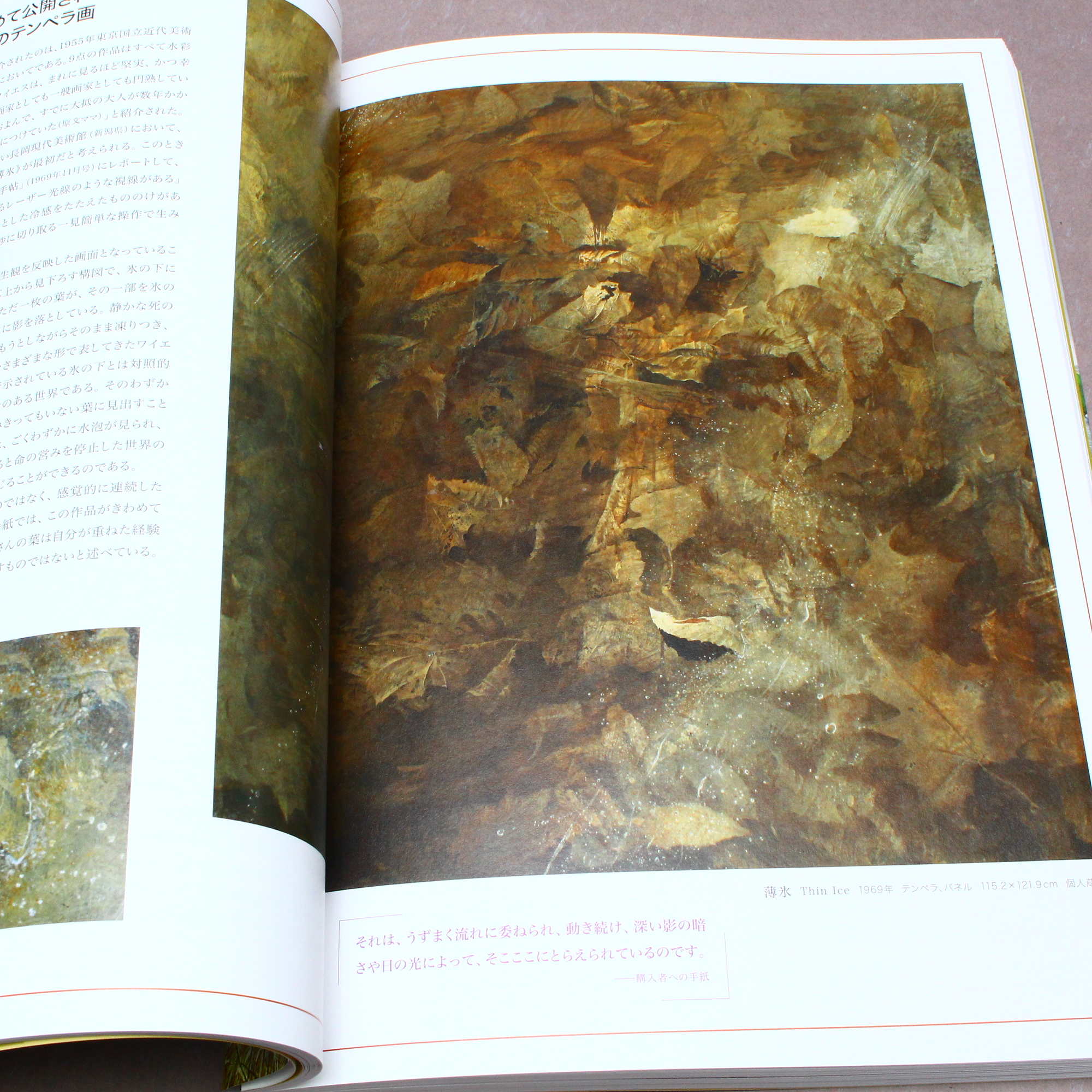 Andrew Wyeth - Art Book - Japanese edition - Image 5