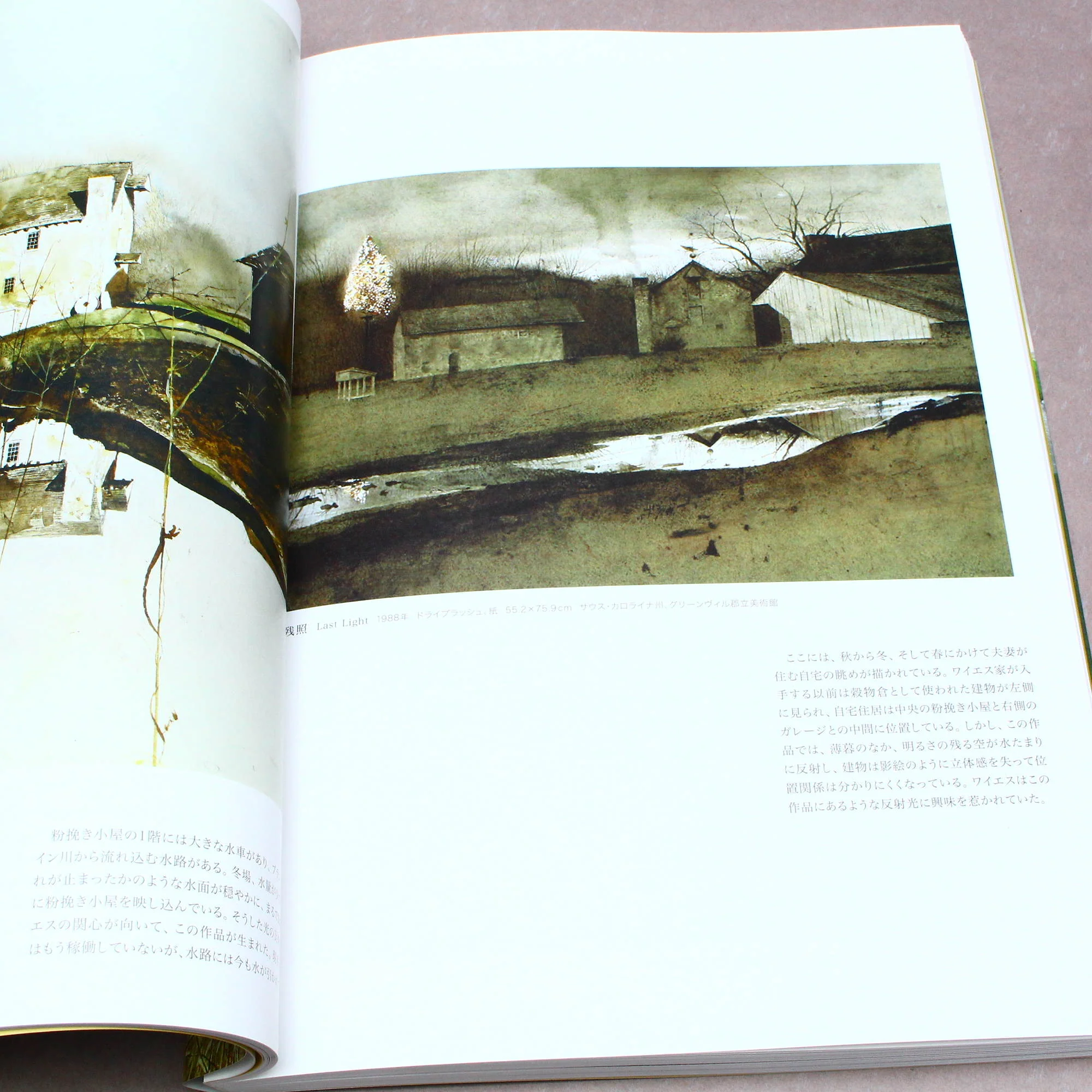 Andrew Wyeth - Art Book - Japanese edition - Image 6
