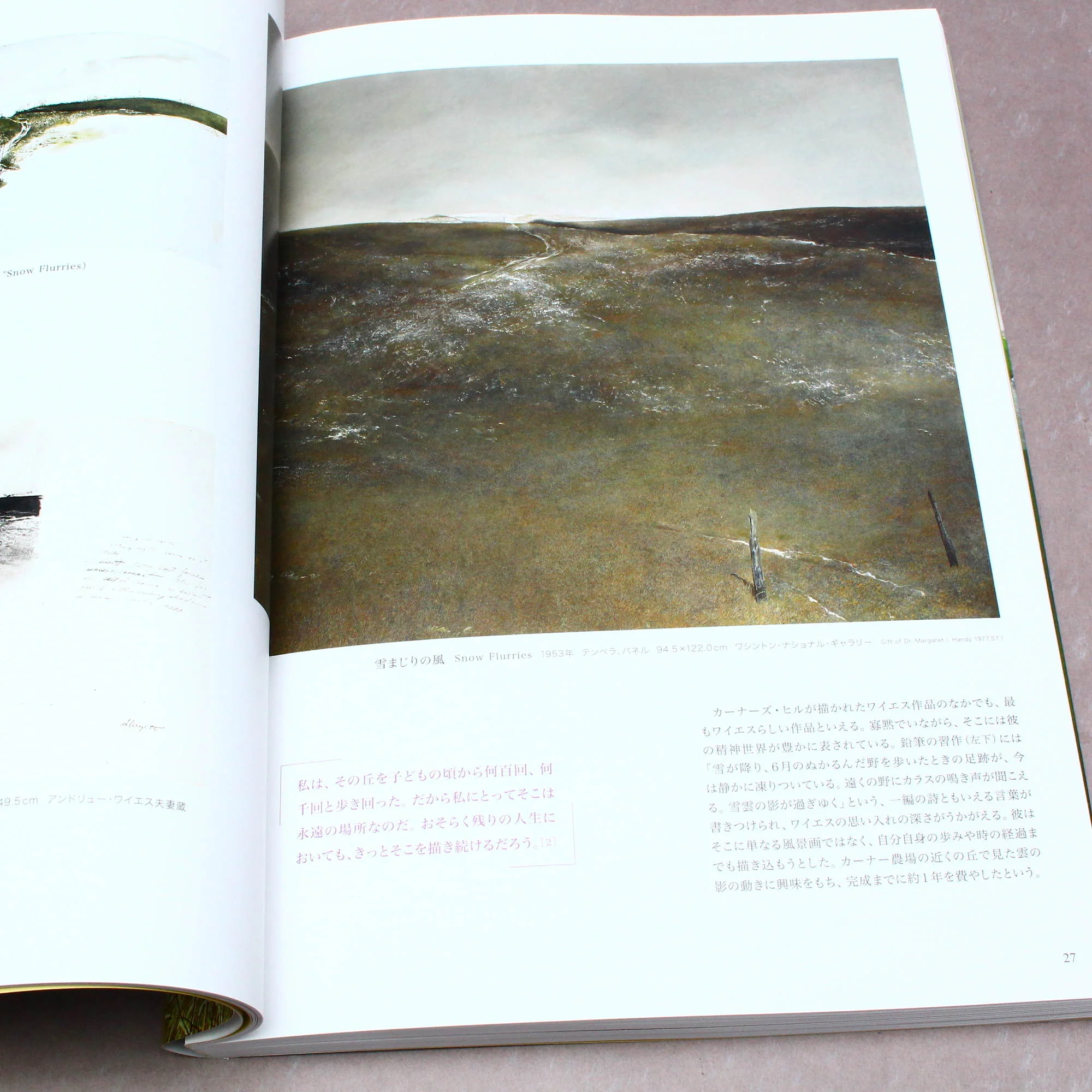 Andrew Wyeth - Art Book - Japanese edition - Image 7