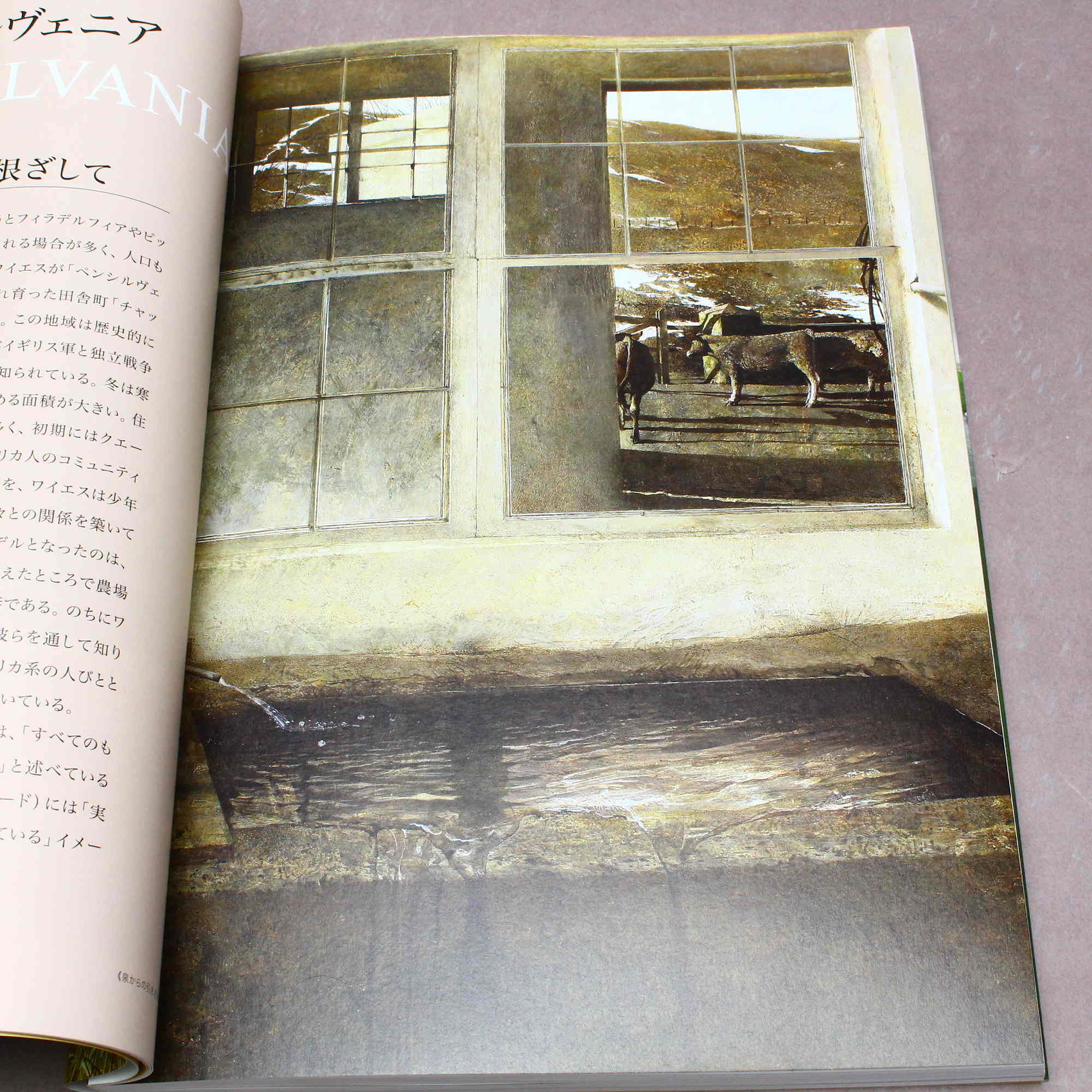 Andrew Wyeth - Art Book - Japanese edition - Image 8