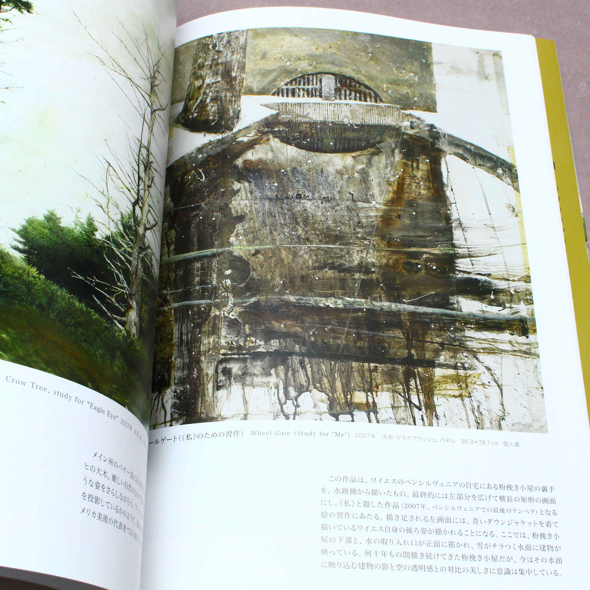 Andrew Wyeth - Art Book - Japanese edition - Image 9