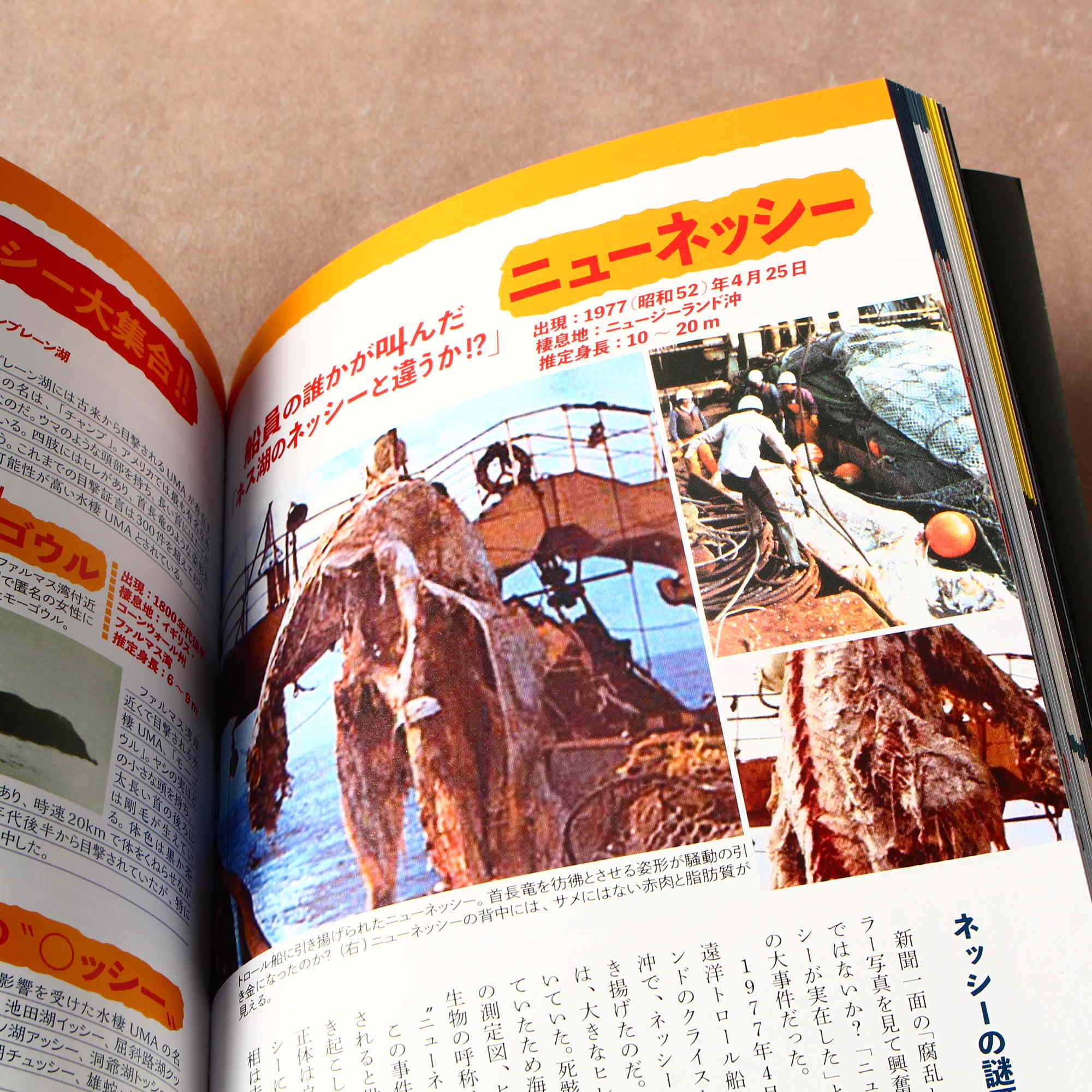 Book of Natsukashi Occult - Image 2