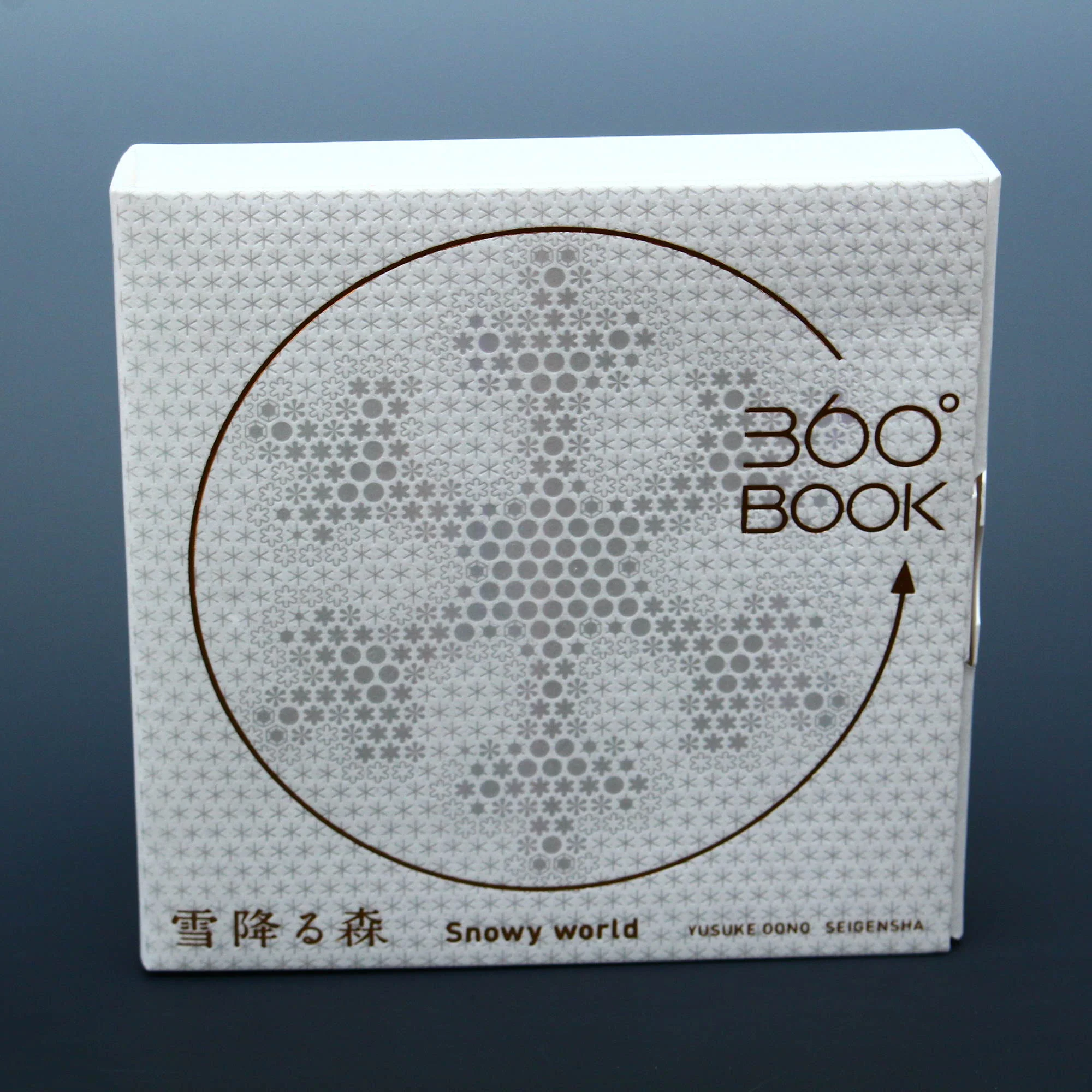 360° Degree BOOK - Snowy World