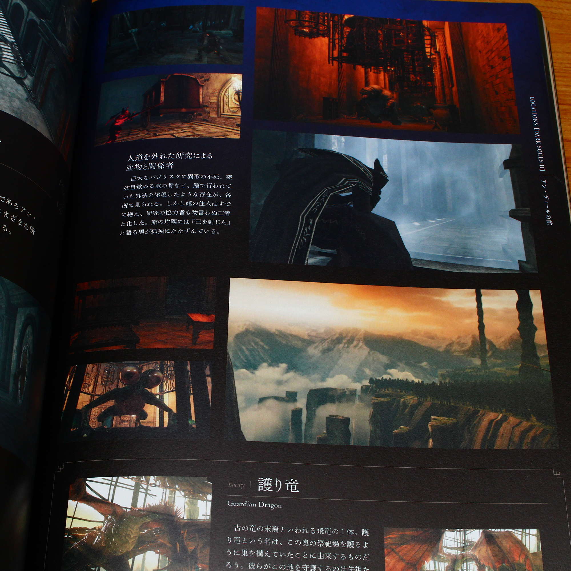 Dark Souls Trilogy - Archive of the Fire - Image 3