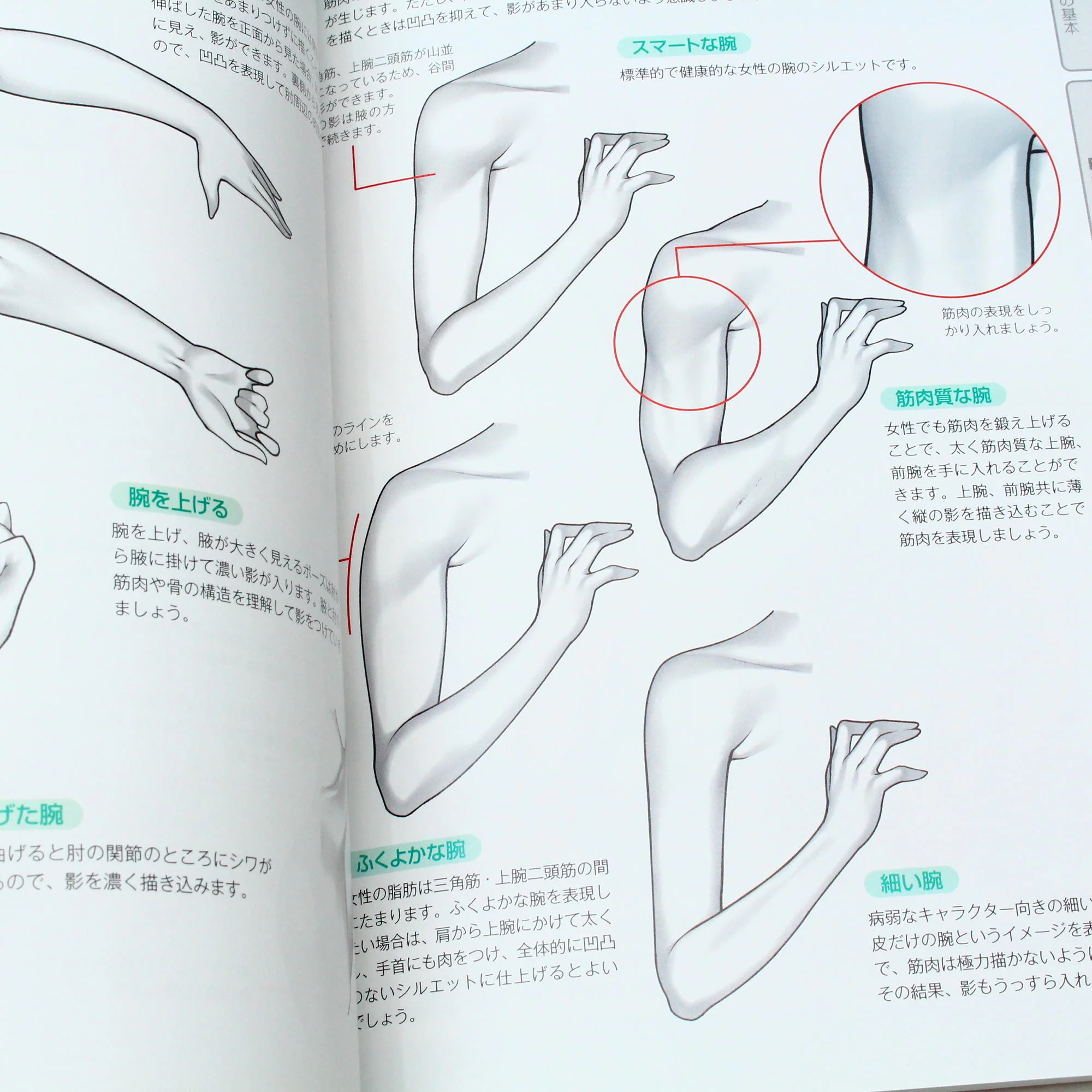 How to Draw - Bishoujo Realistic Skin - Image 5