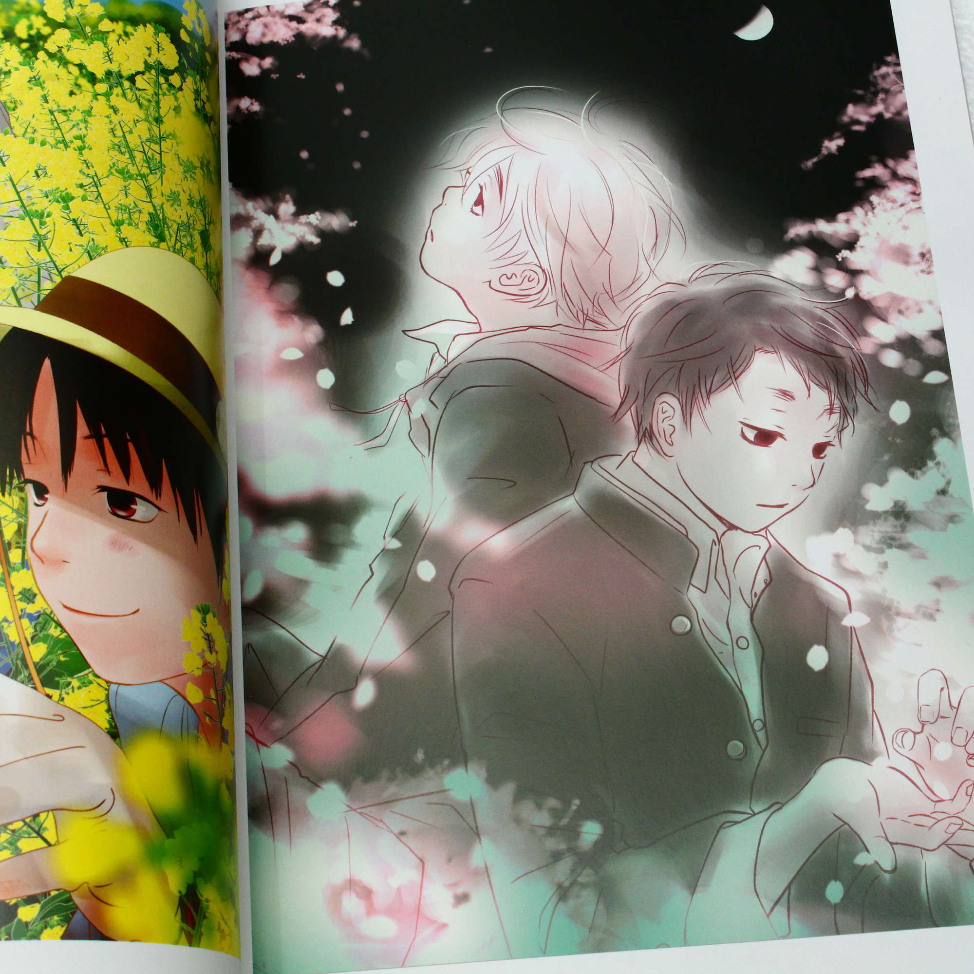 Danshi Chu Daka Sei No - Illustration Book - Image 7