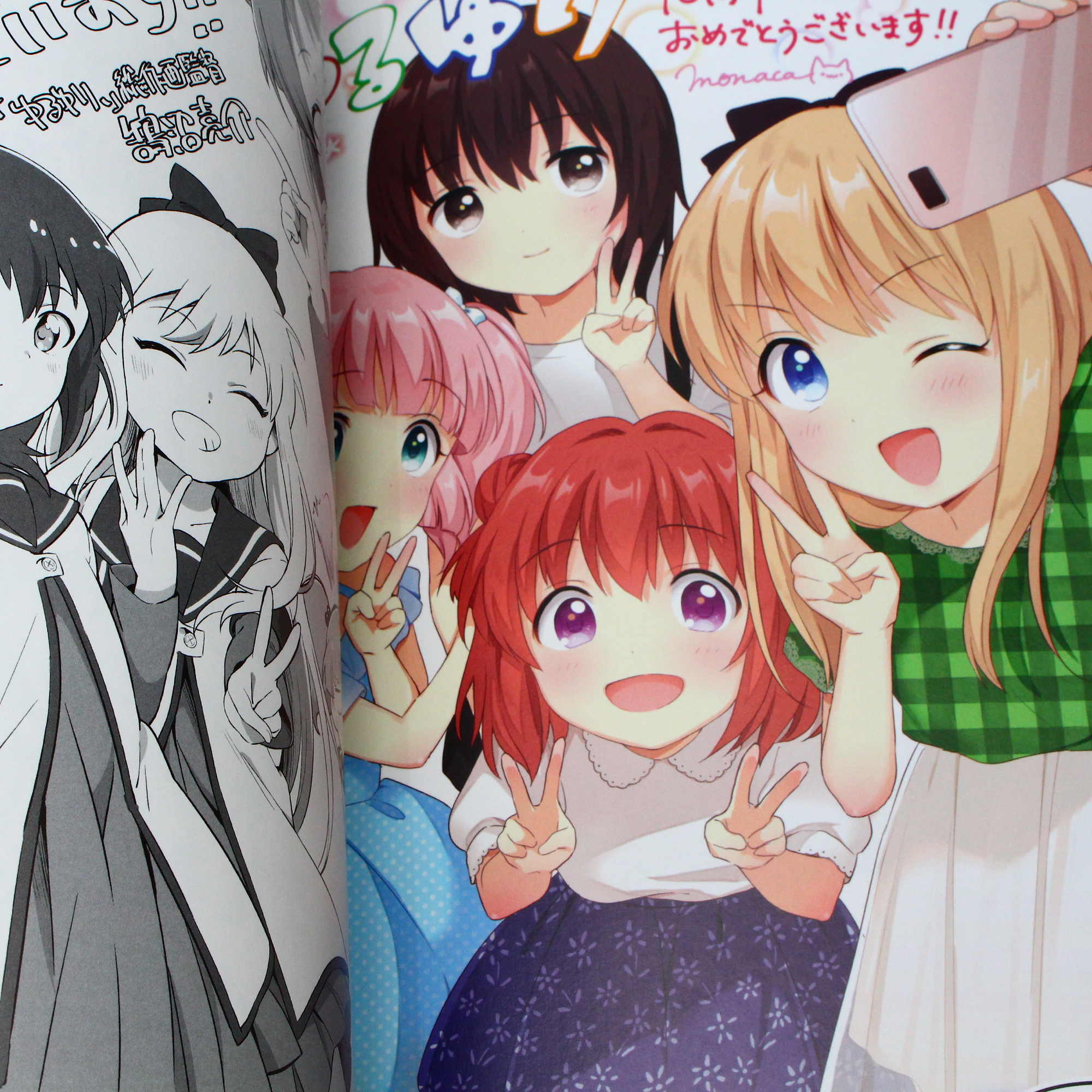 Yuruyuri 10th Anniversary Book: Yuruyuri X - Image 3