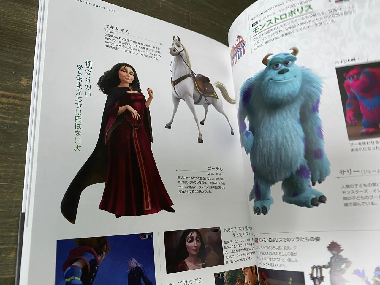 Kingdom Hearts Series Character Files - Image 5