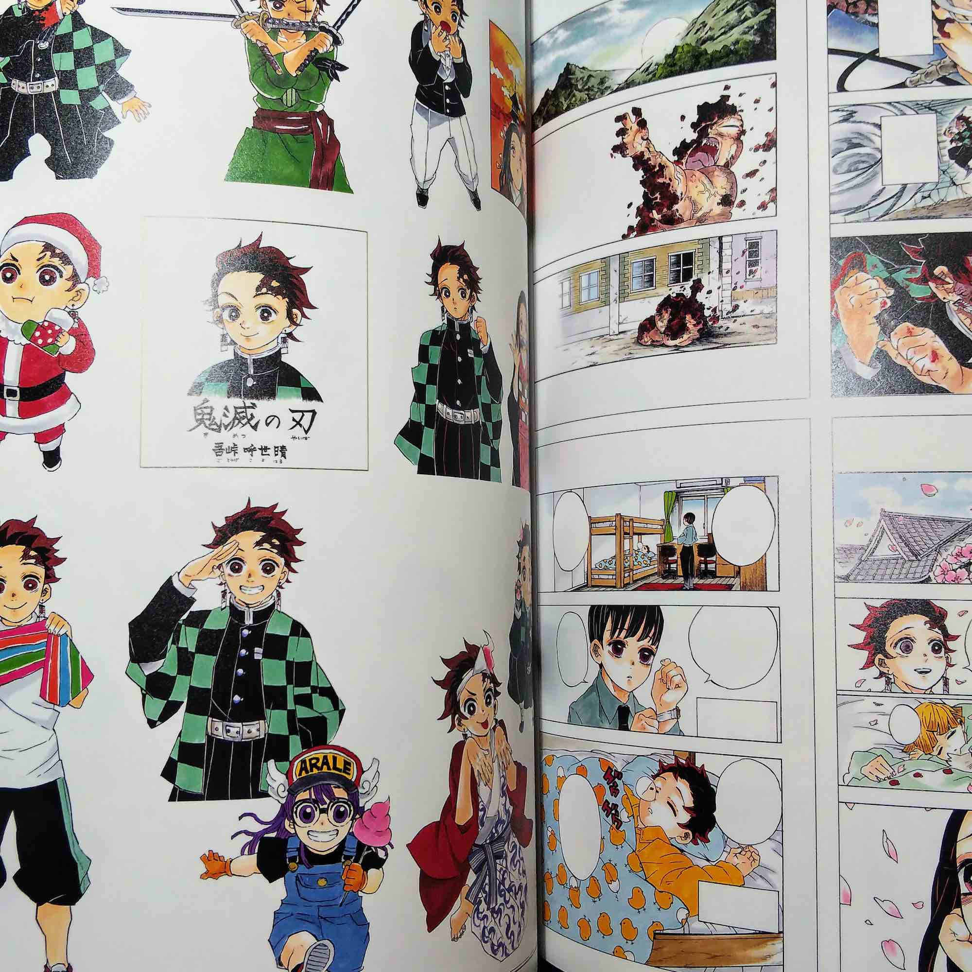 Demon Slayer / Kimetsu no Yaiba Illustrations - Image 3