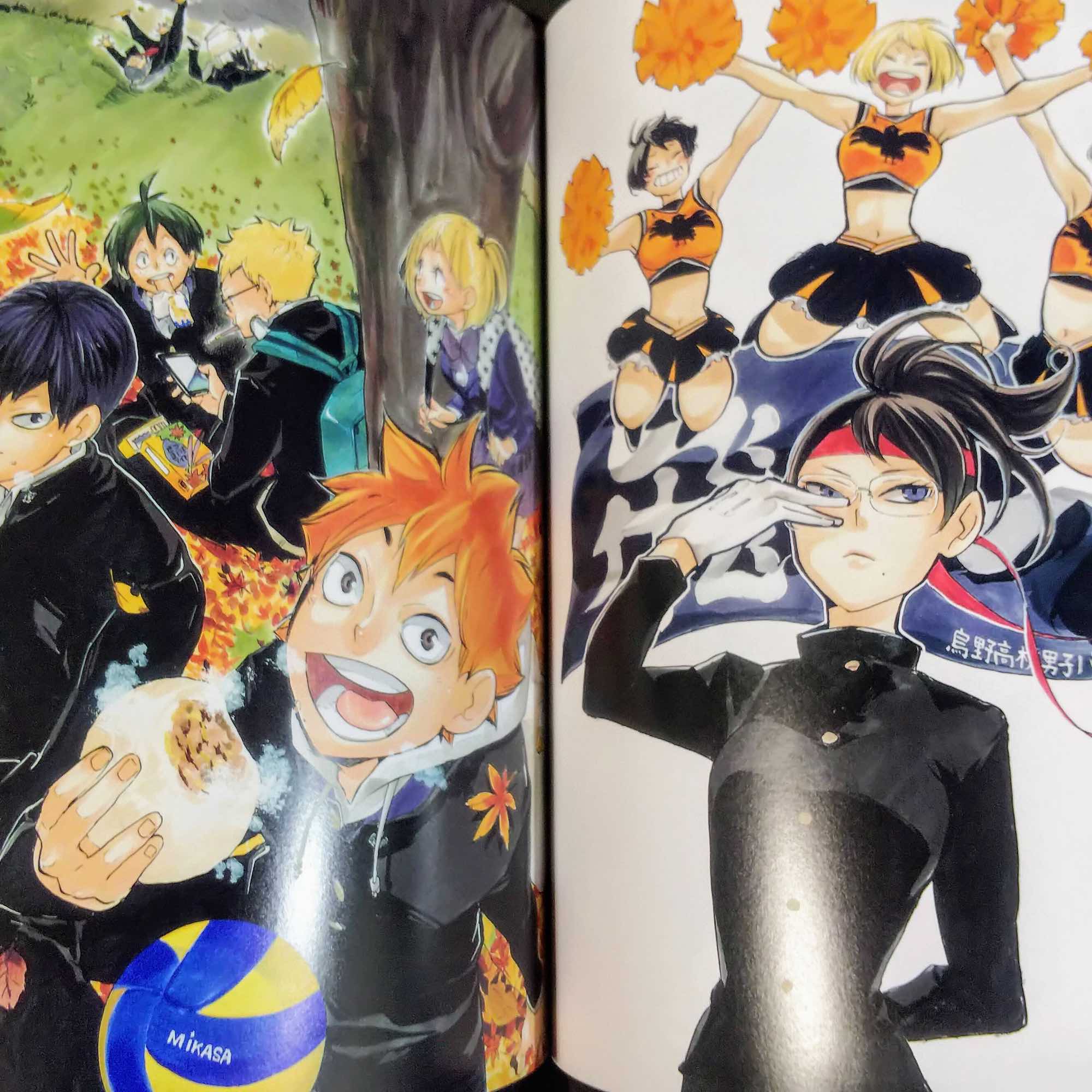 Haikyu Complete Illustration book - Image 2