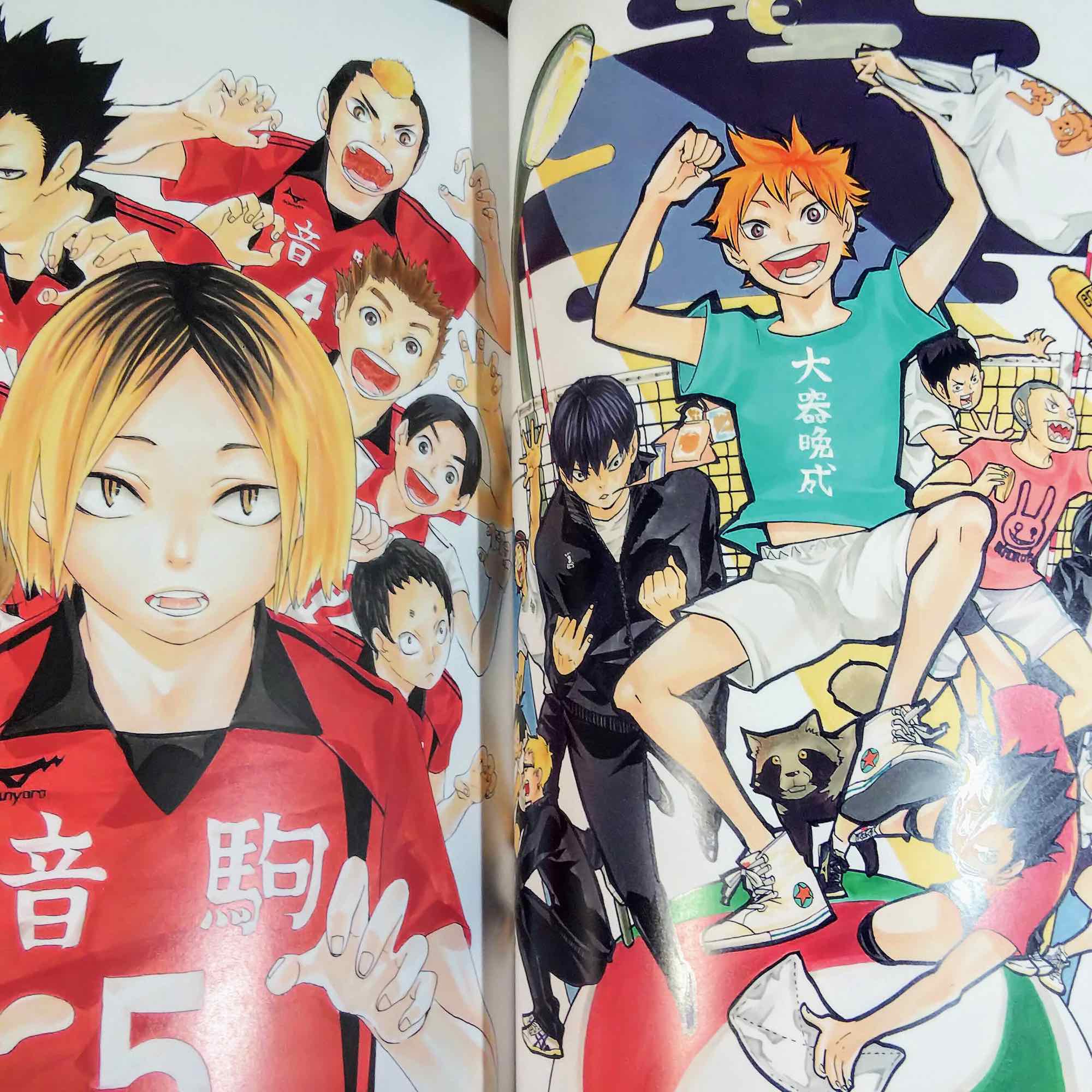 Haikyu Complete Illustration book - Image 5