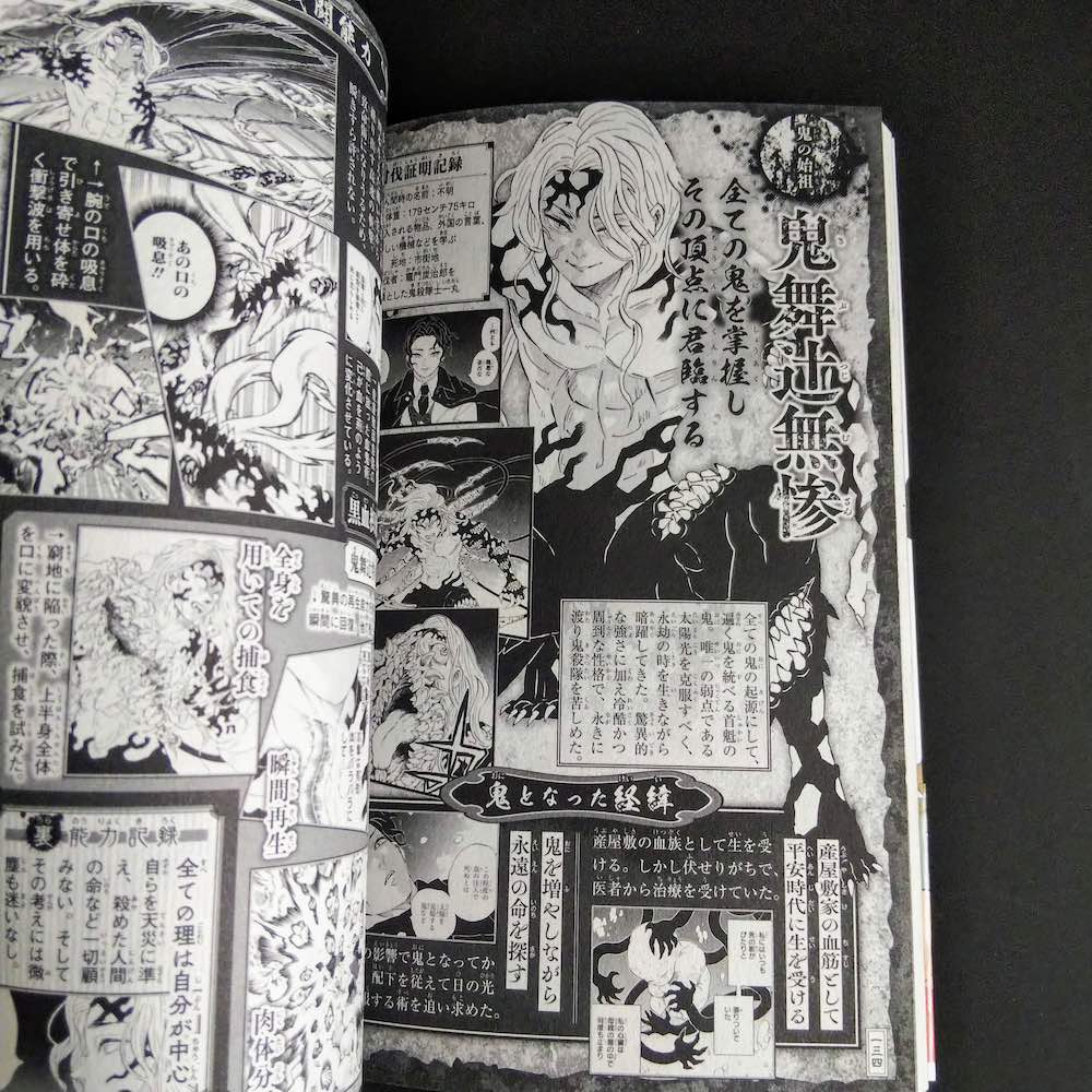 Demon Slayer Kimetsu no Yaiba Official Fan Book 2 - Image 3