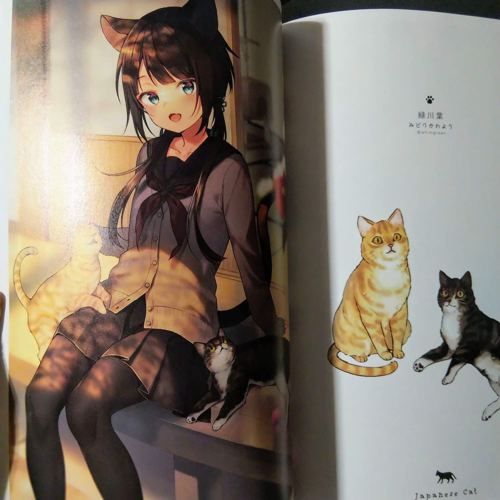 Neko to Watashi  - Cat and Me - Image 4