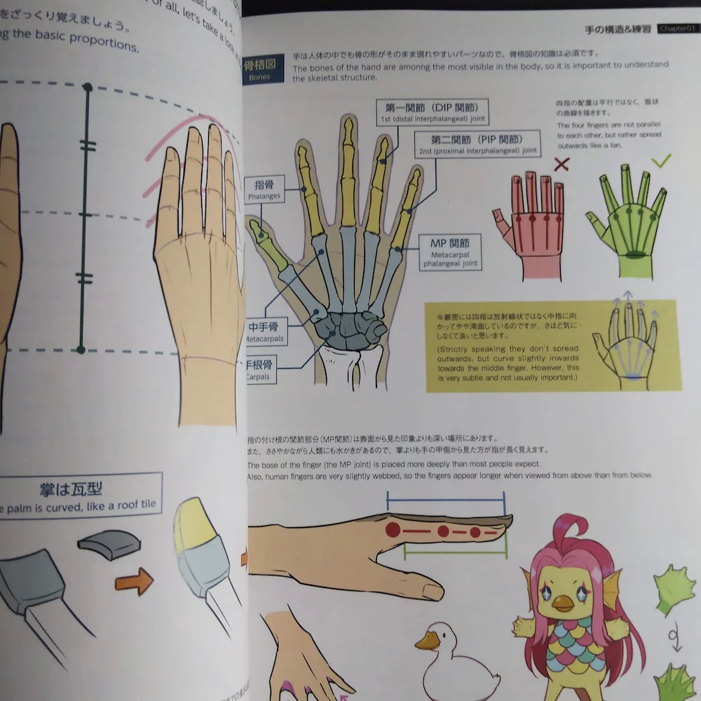 How to Draw Practical Poses of the Hands - Image 2