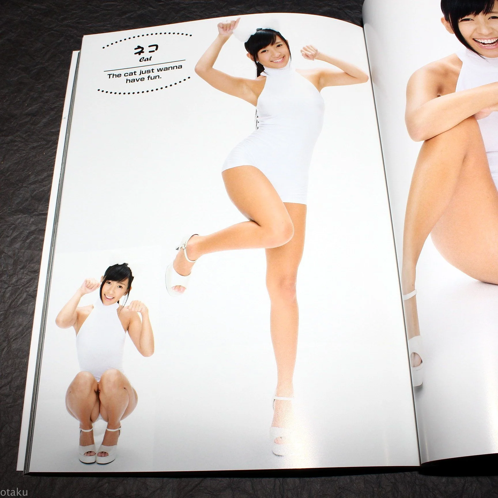 Super Pose Book Nude - Your Pet - Photo Reference - Image 4
