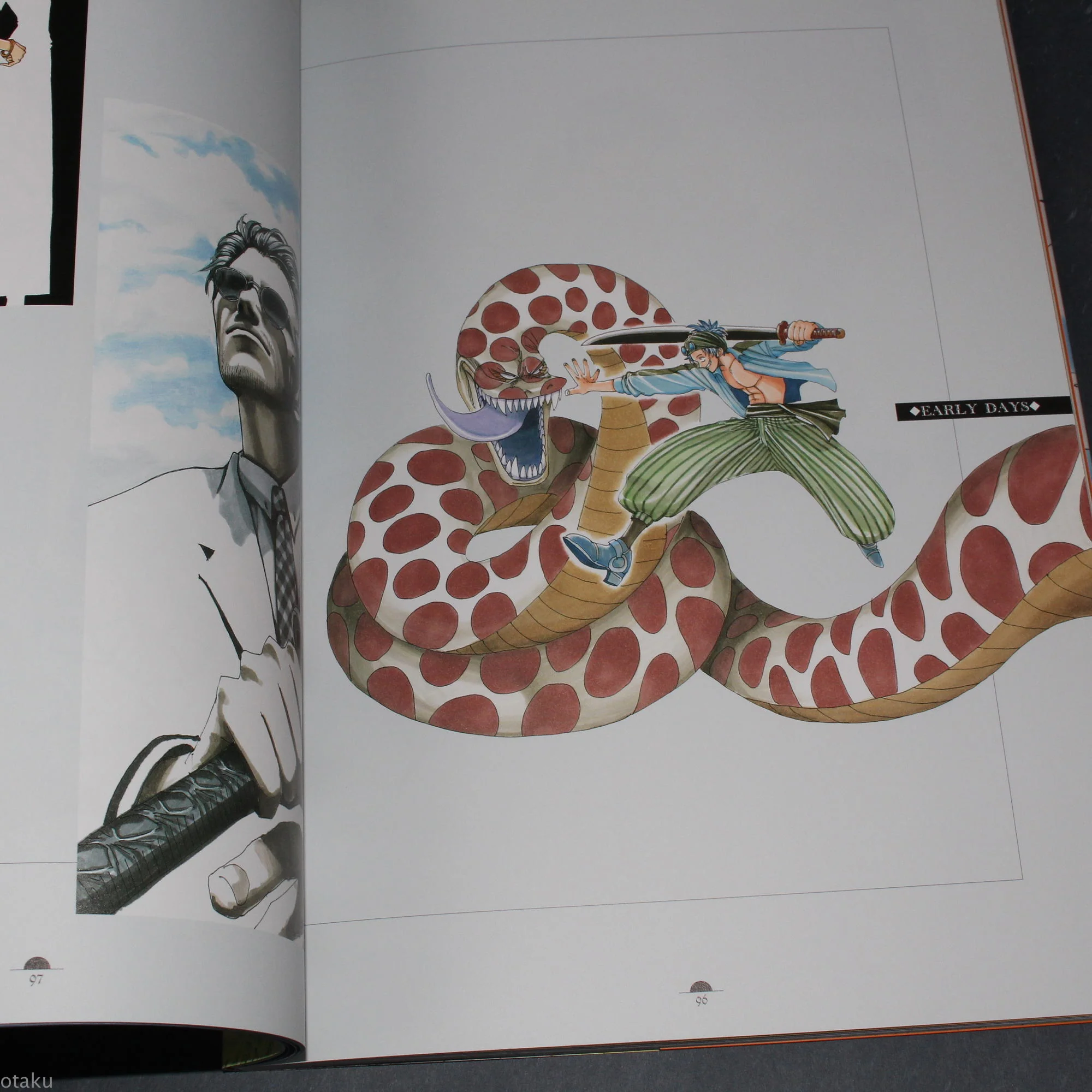 One Piece Color Walk 2 - Image 7