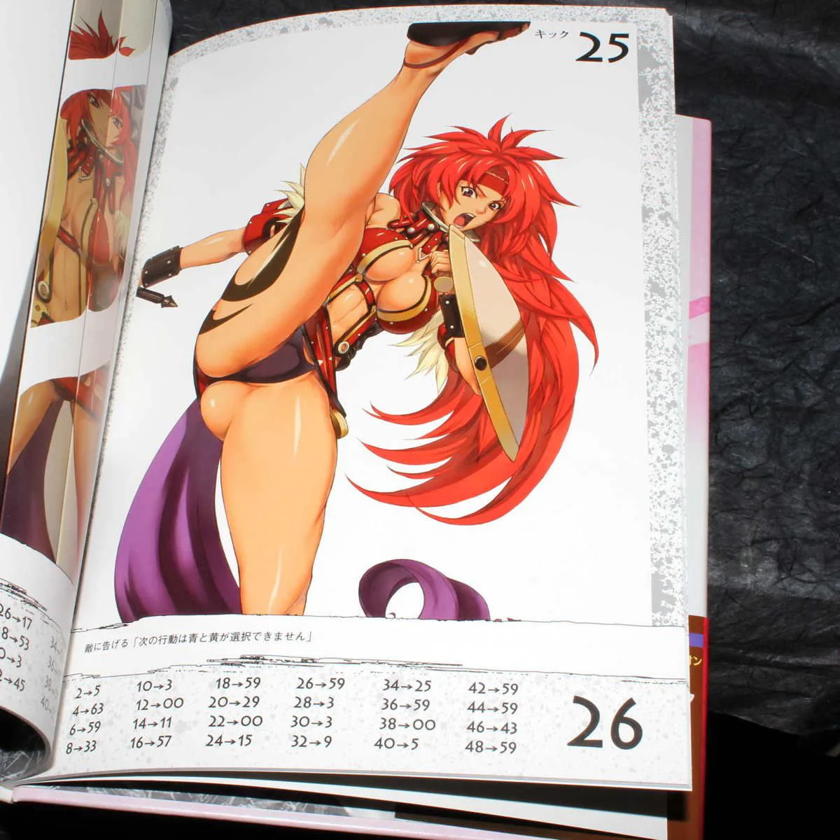 Queen's Blade Risty - Art By Hirokazu Hisayuki - Image 2